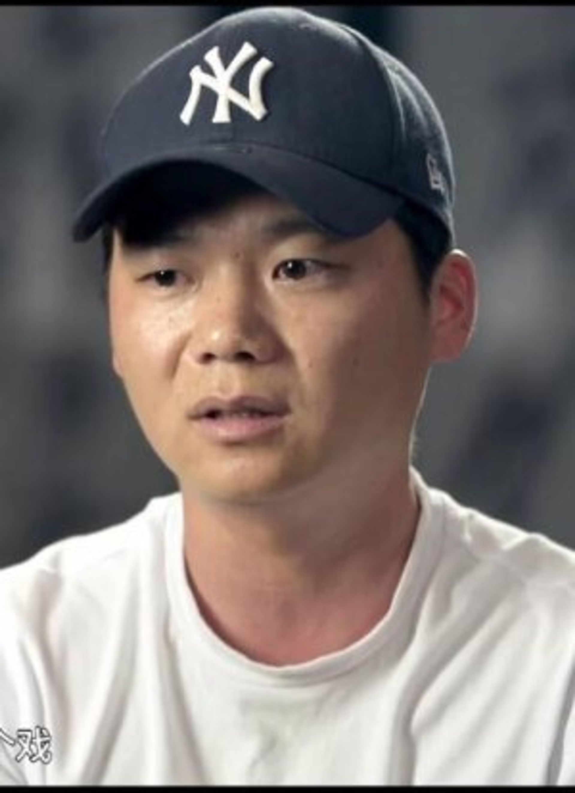 진주비