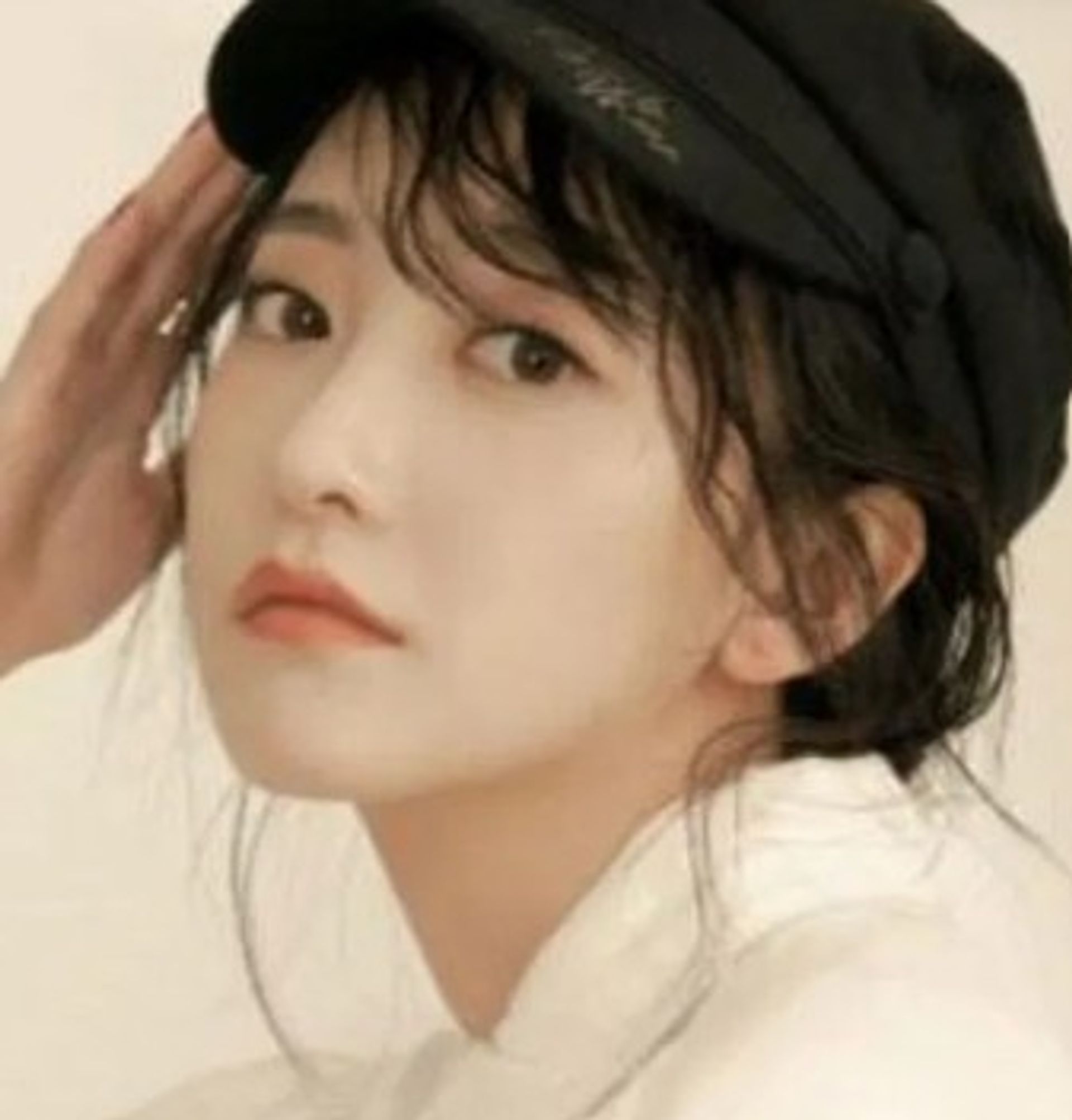 정범