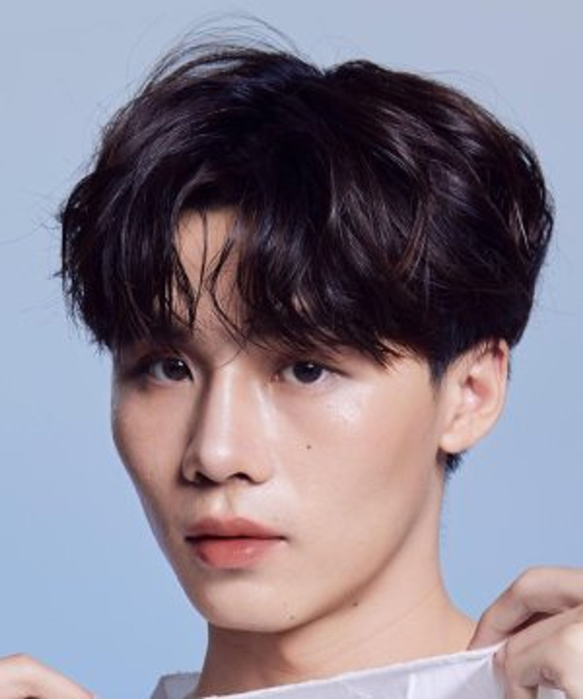 휴 푸비치 찬
