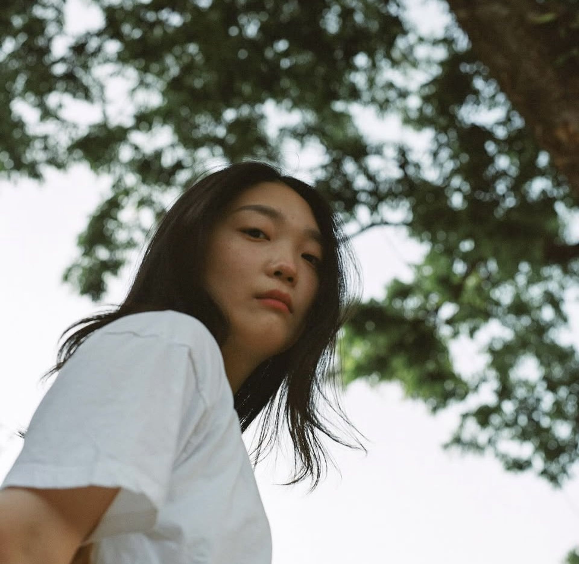 정찬희