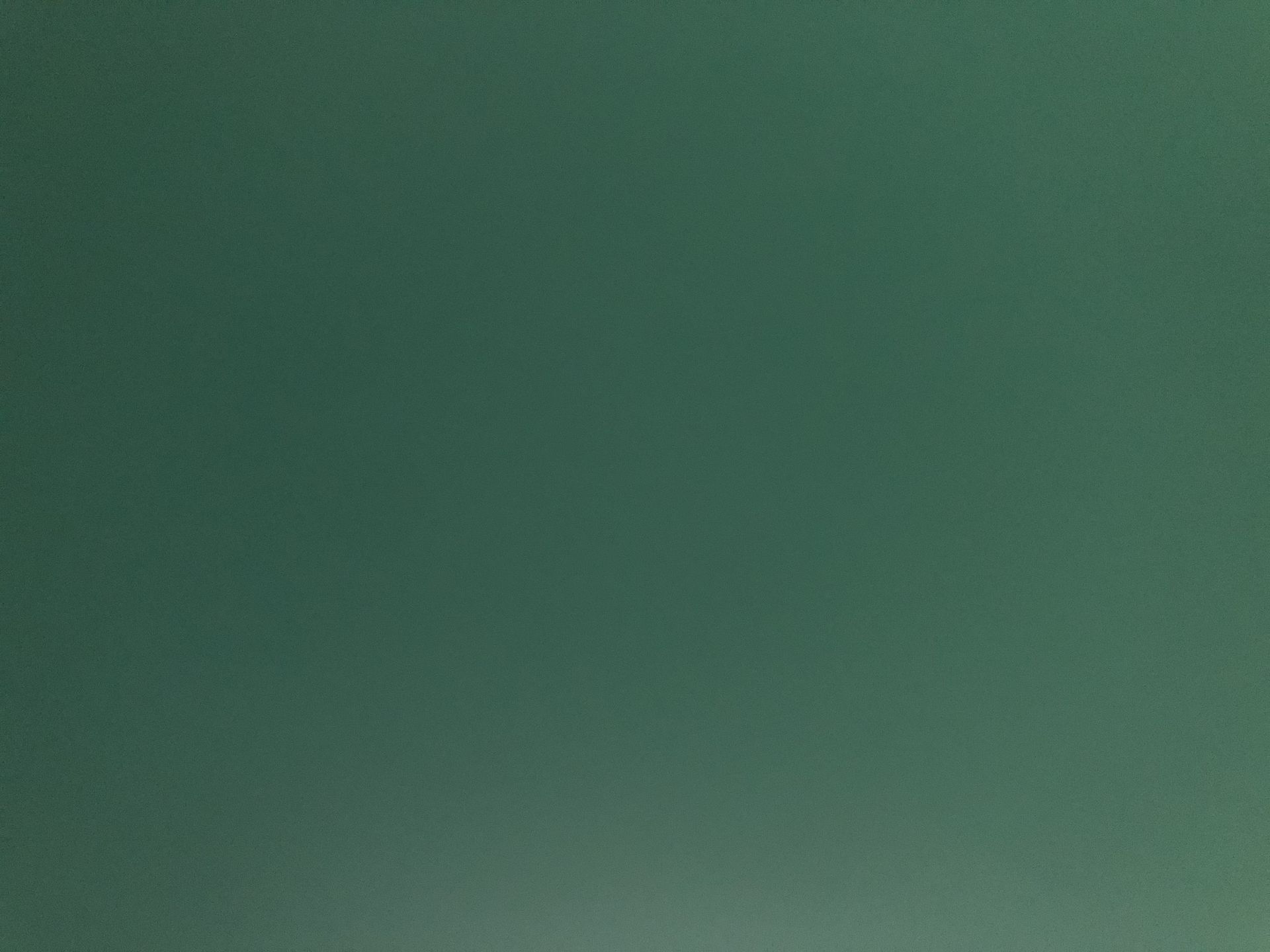 시네도키