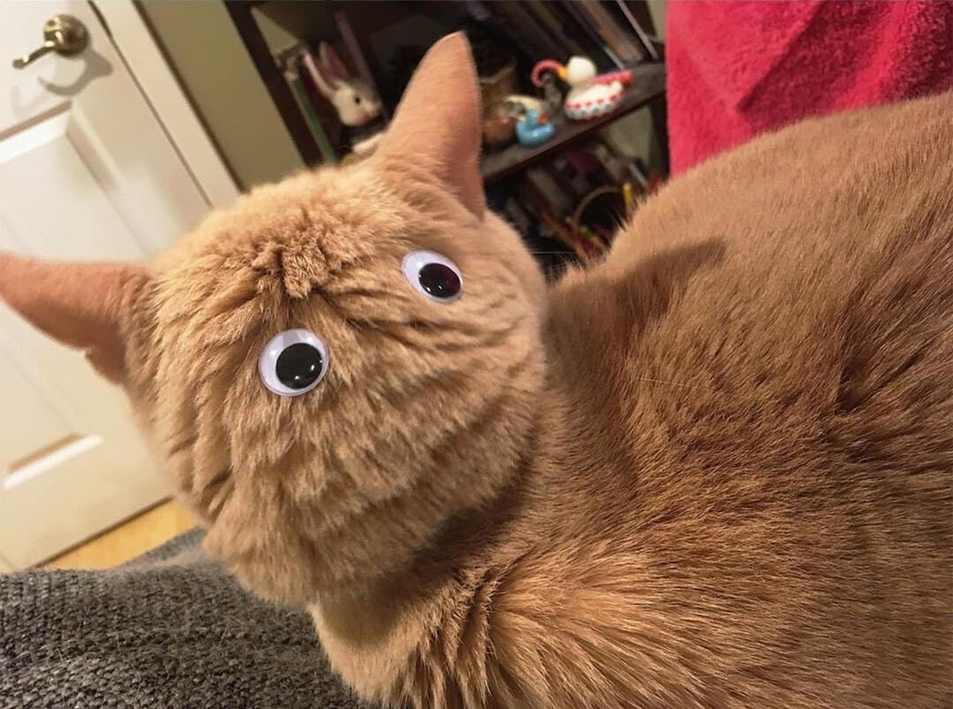 깜찍한_선장님