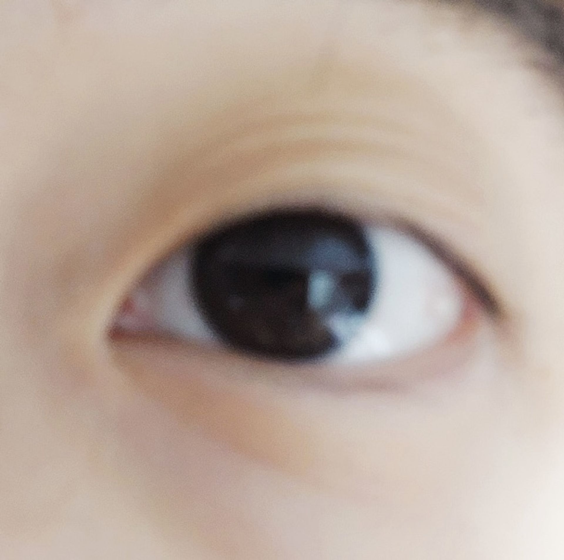 호야@
