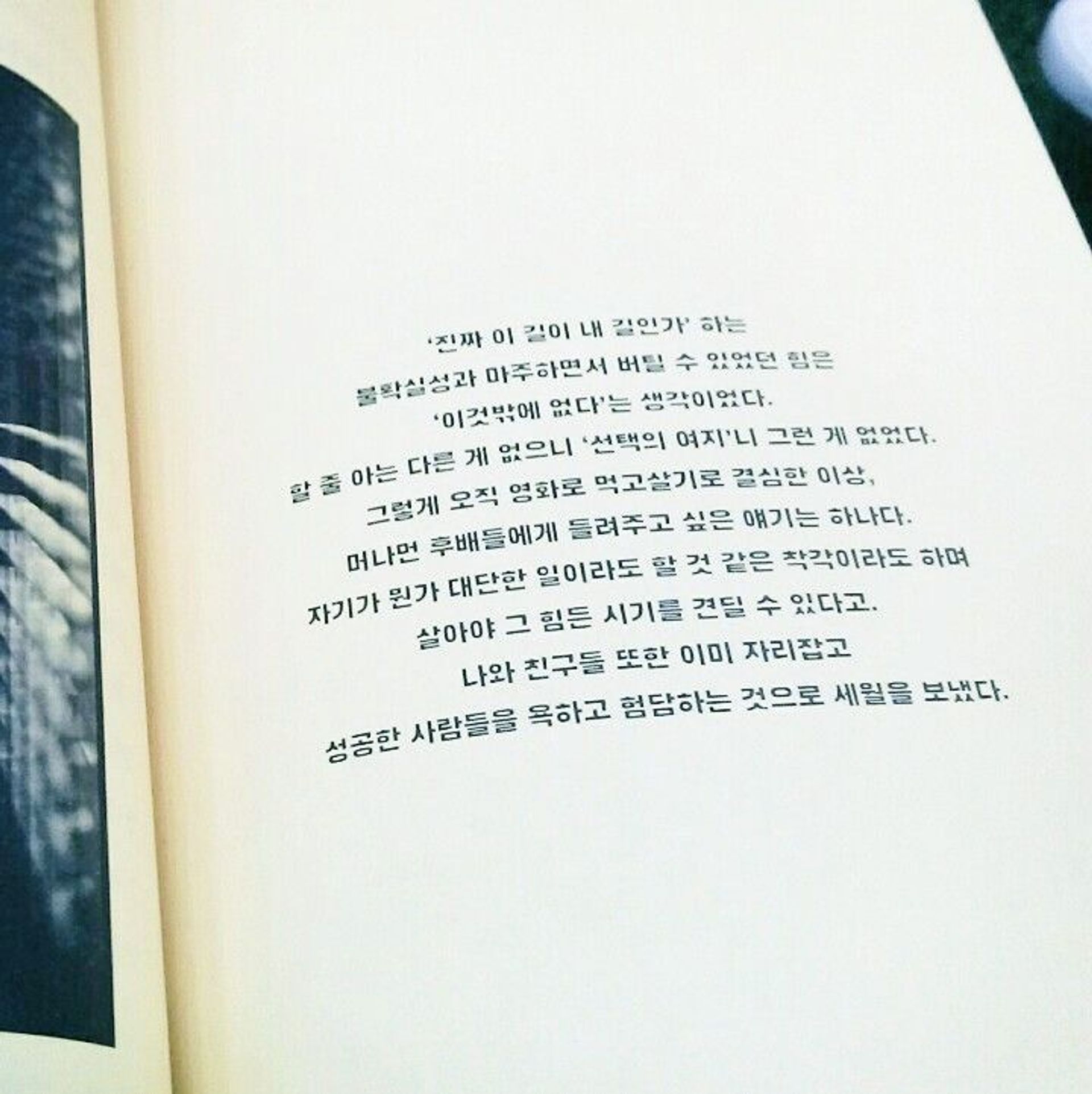 오렌지