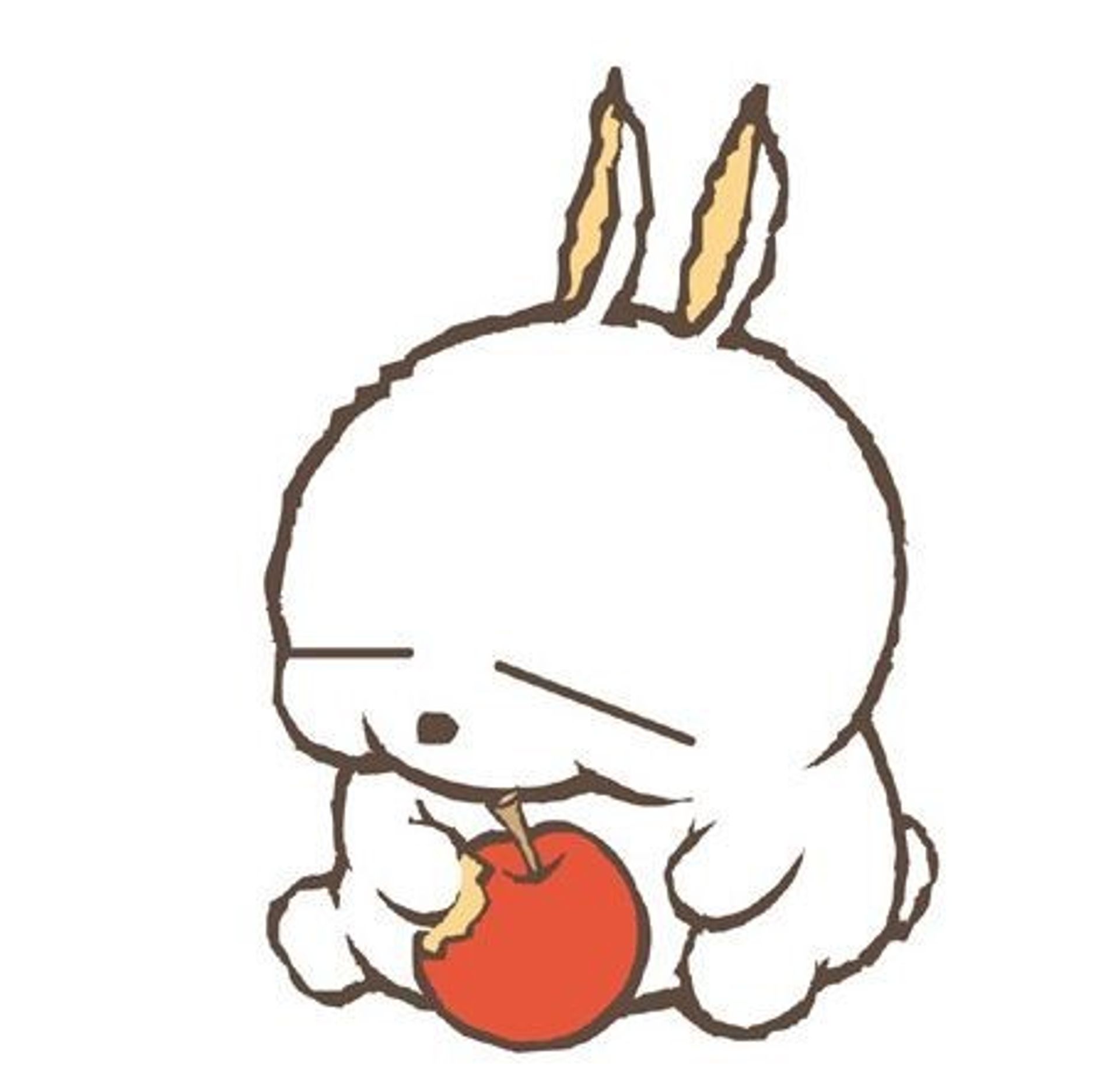 원더레빗