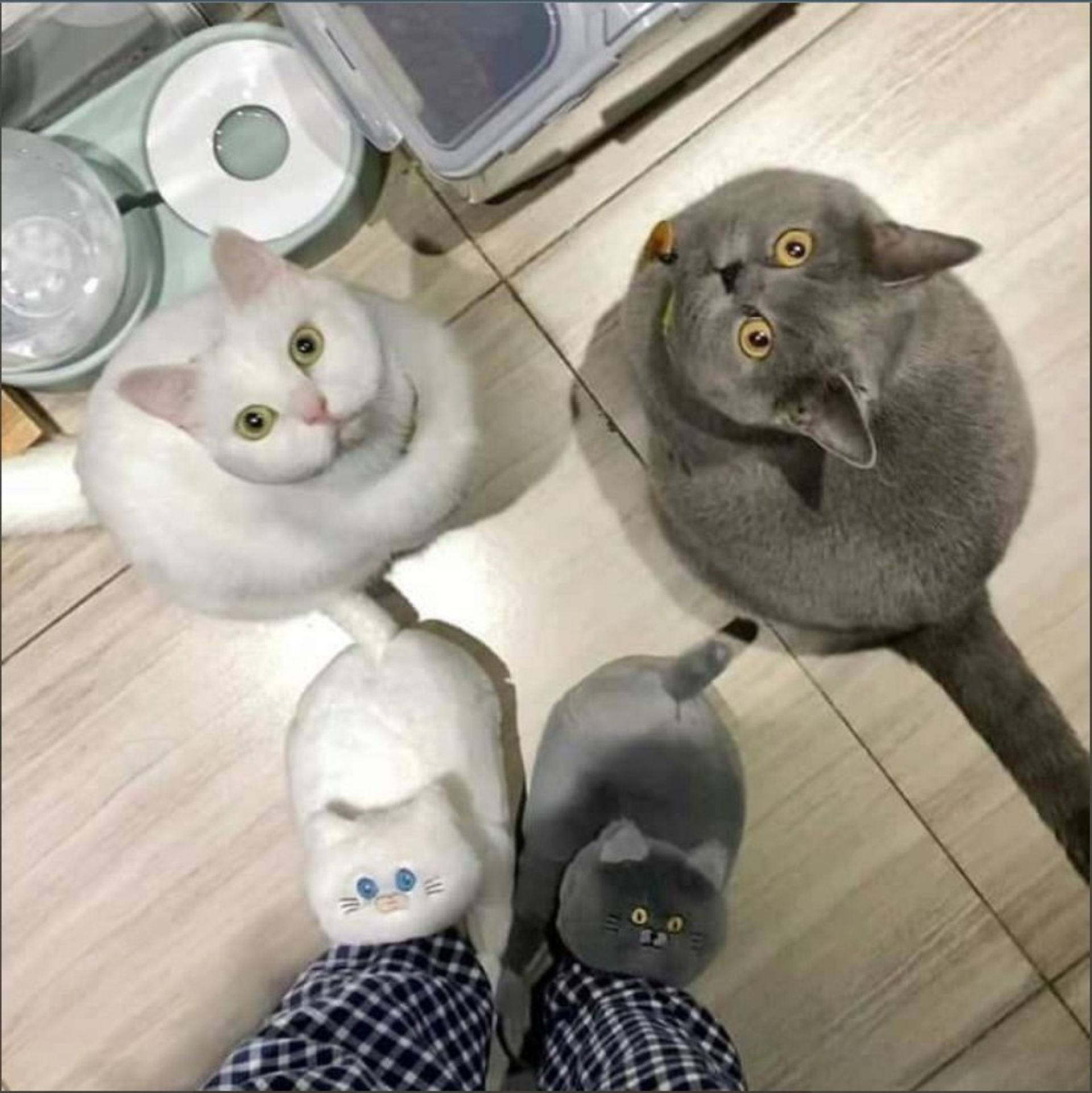 킁