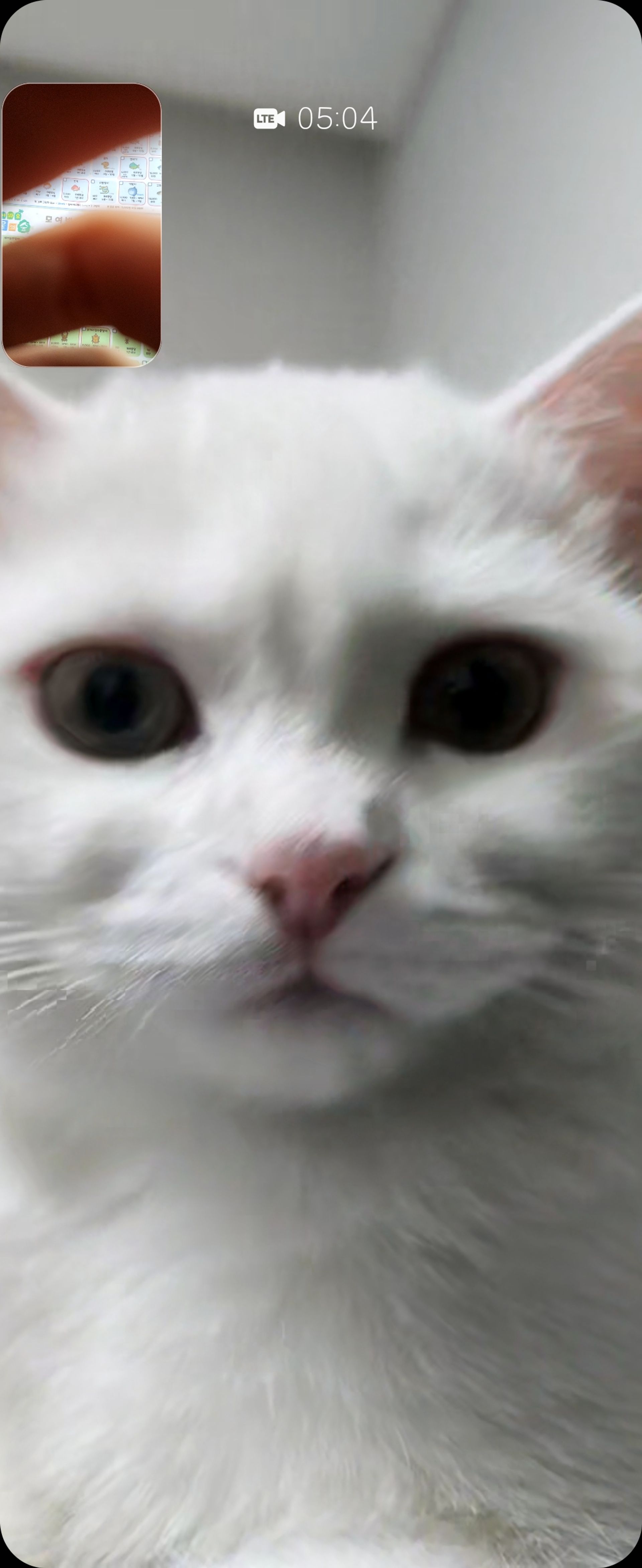 찐빵