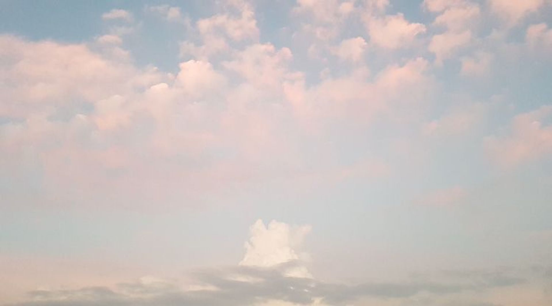 호이탱