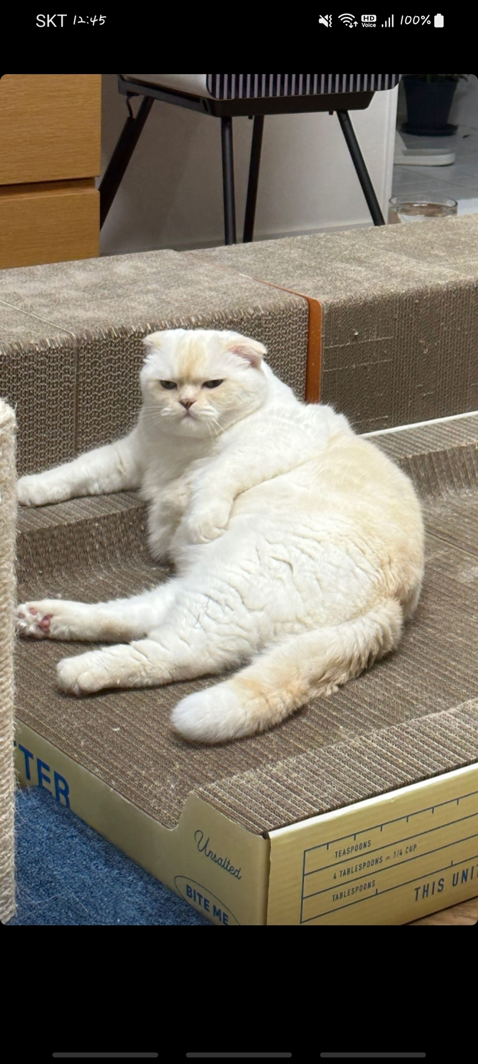 궁금한 강동원