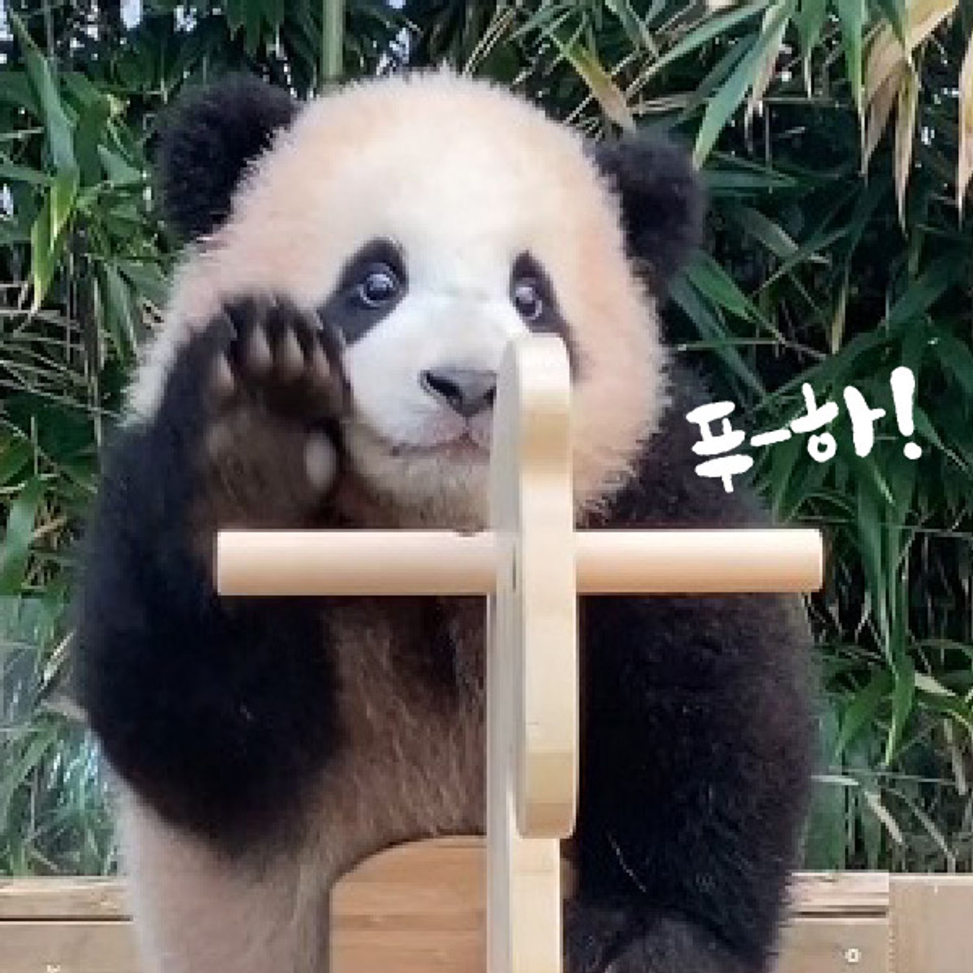 구심구