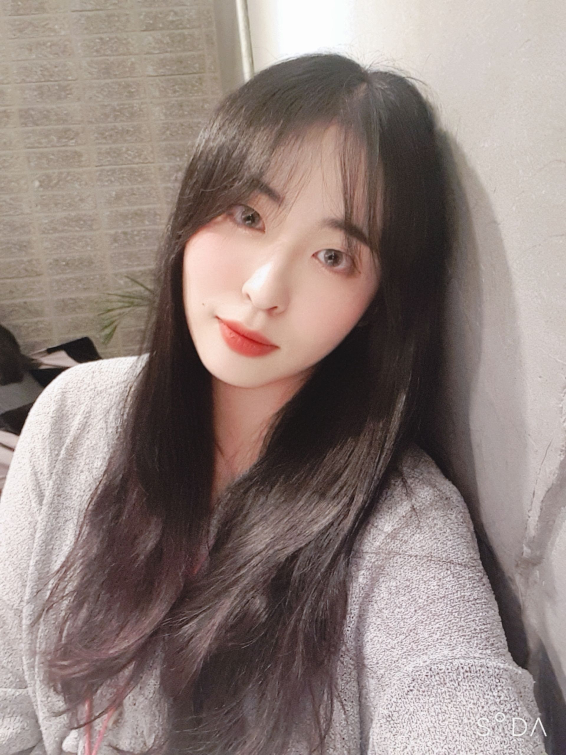 다영