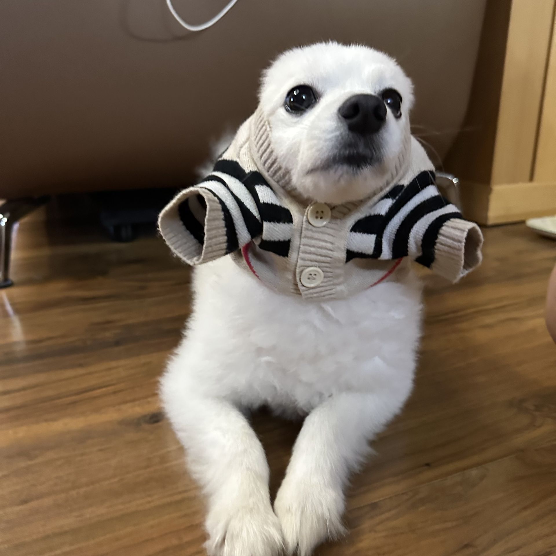 나 공주 아니다