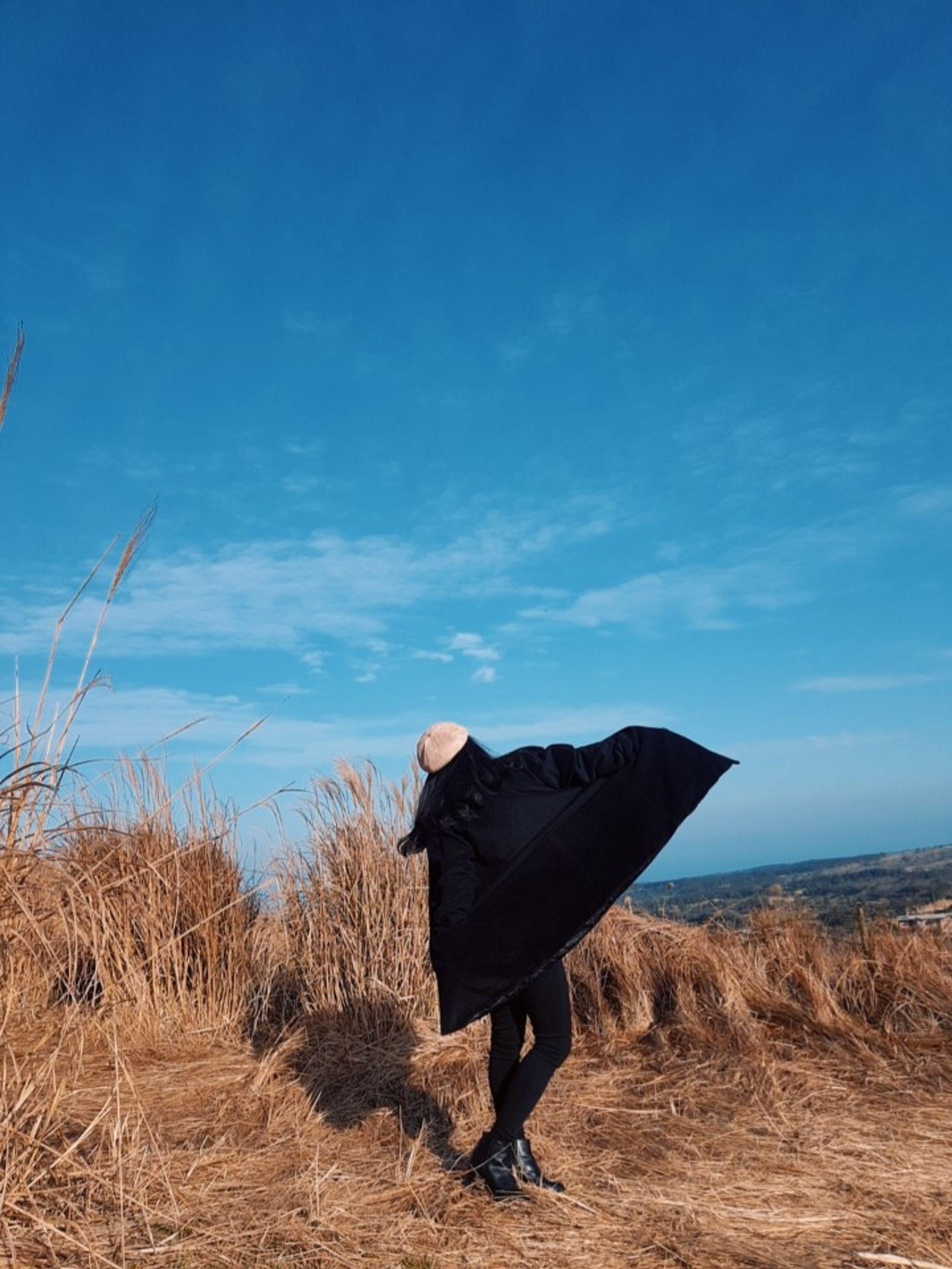 범블비