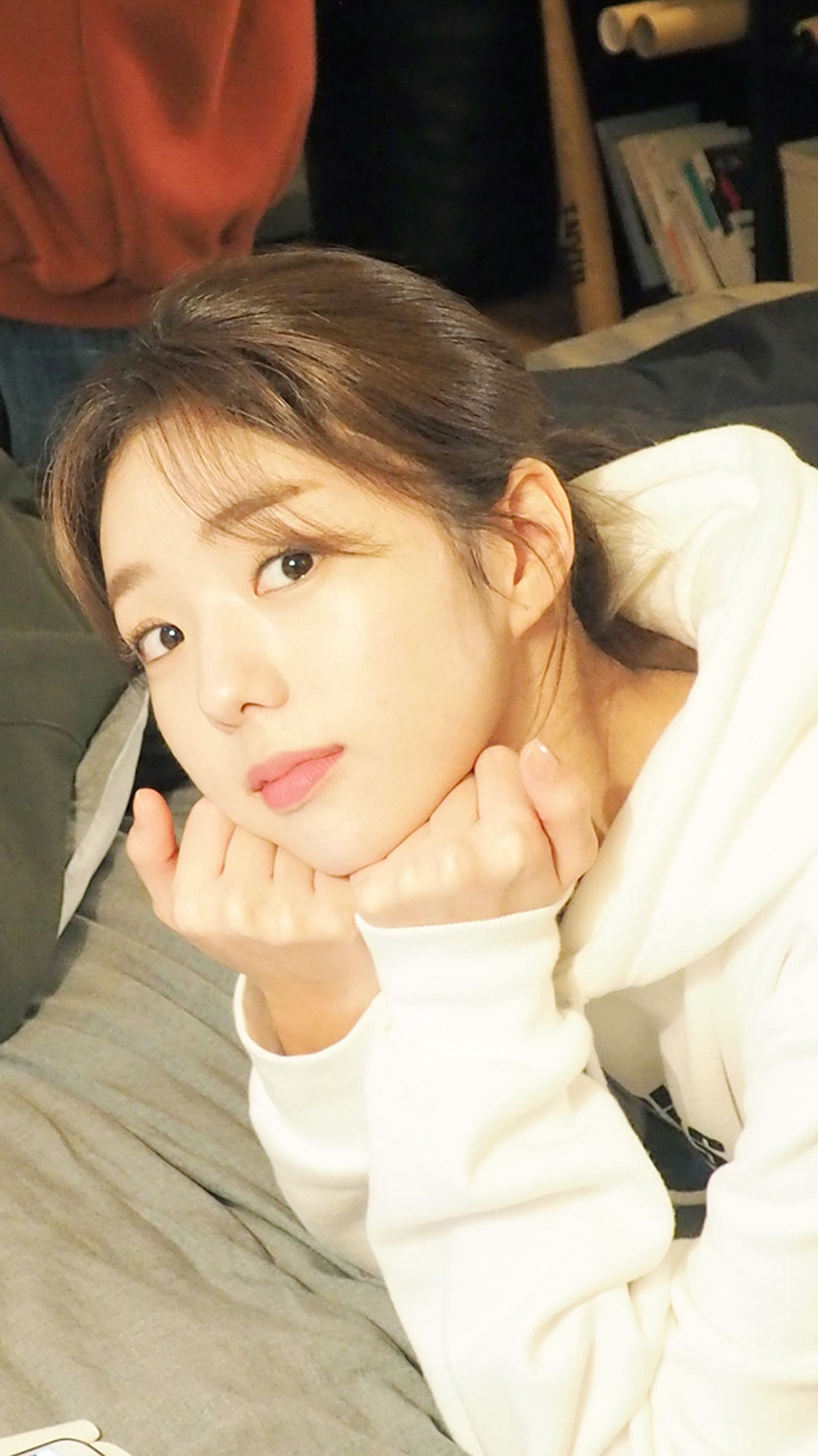 로디