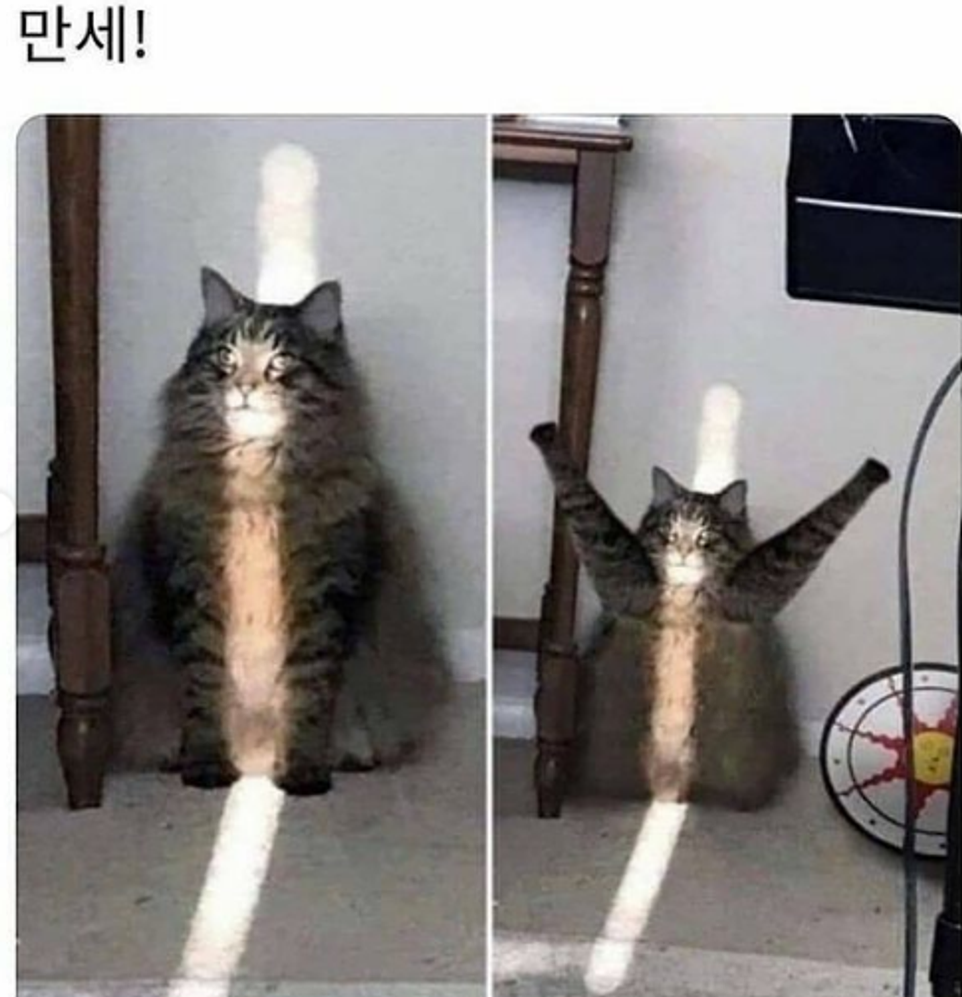 성영일