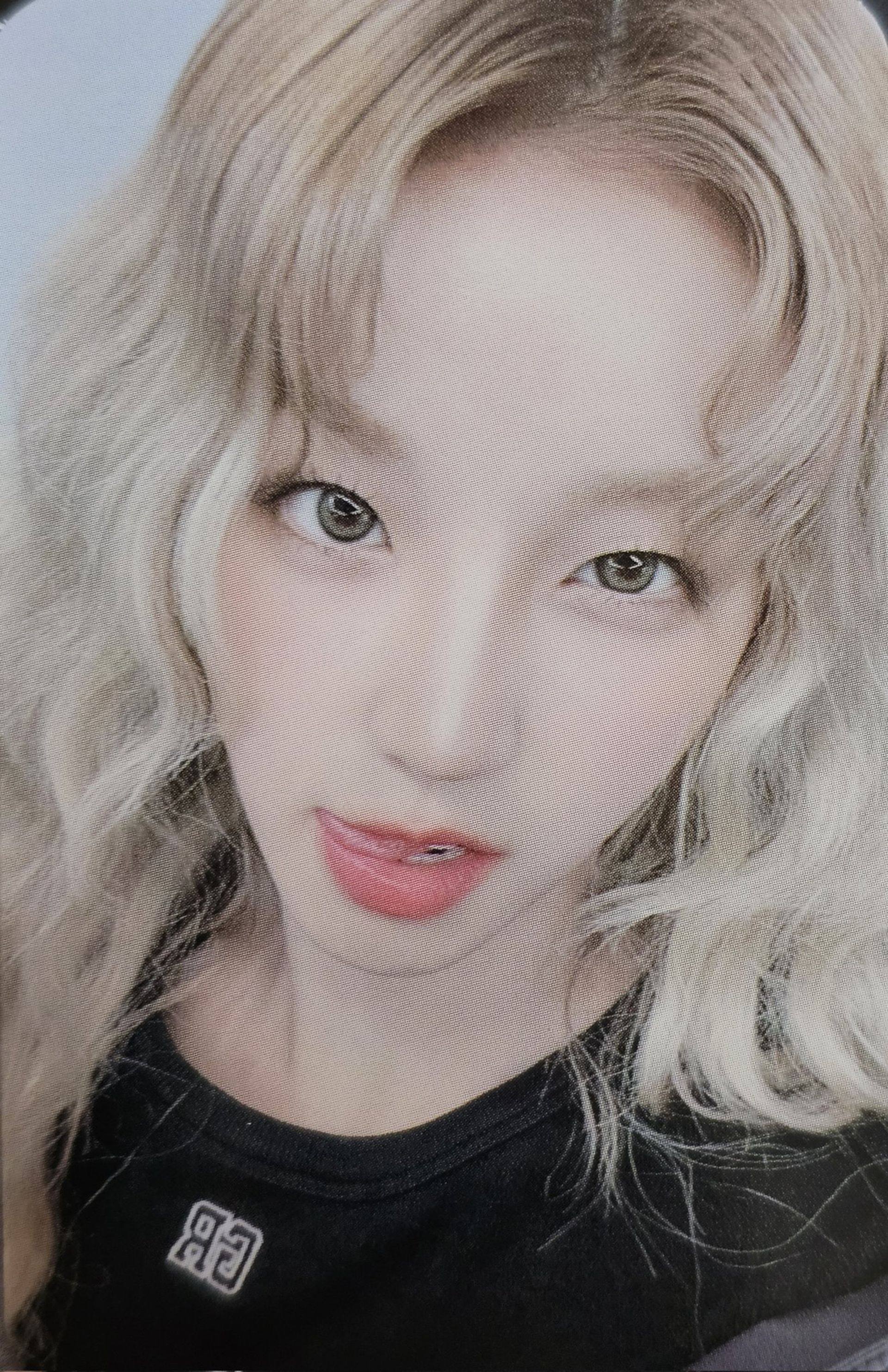송우기
