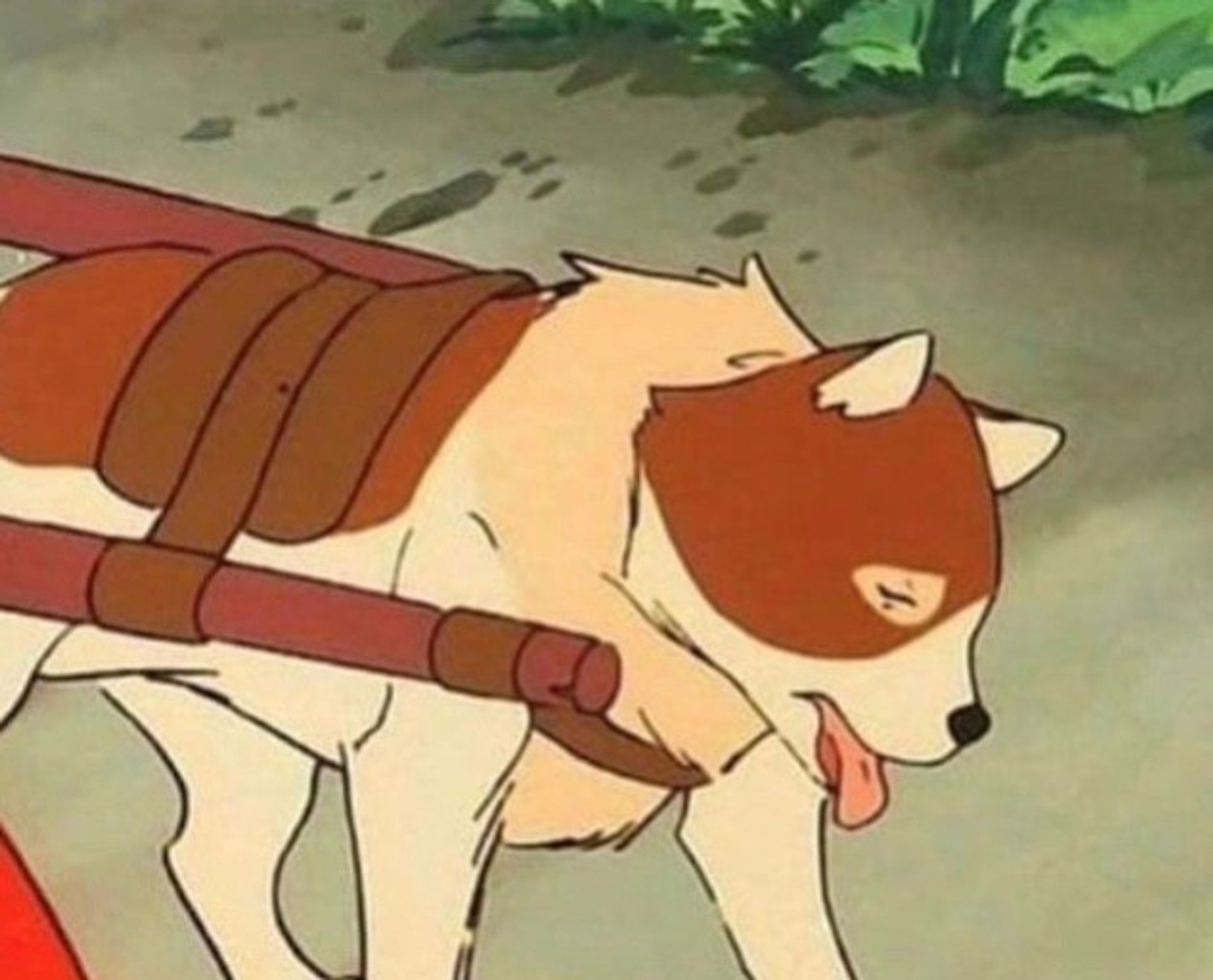 파트라슈앉아!