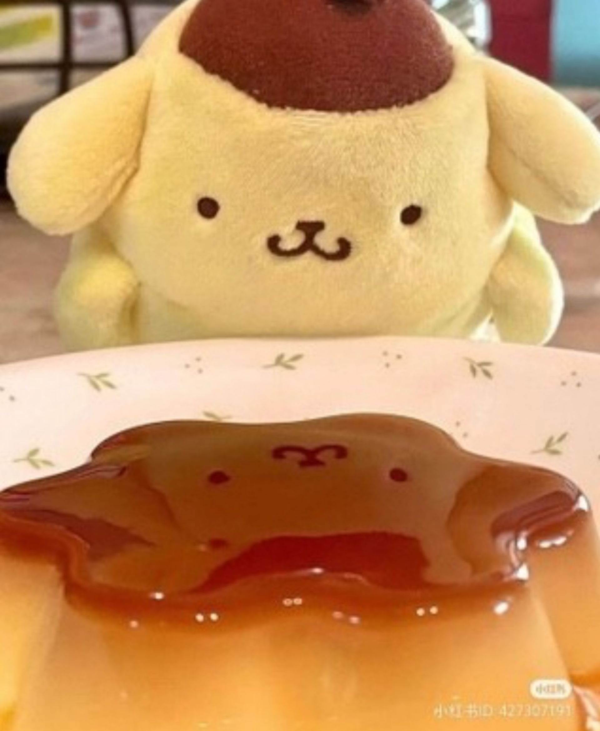 폼폼폼폼폼폼푸린