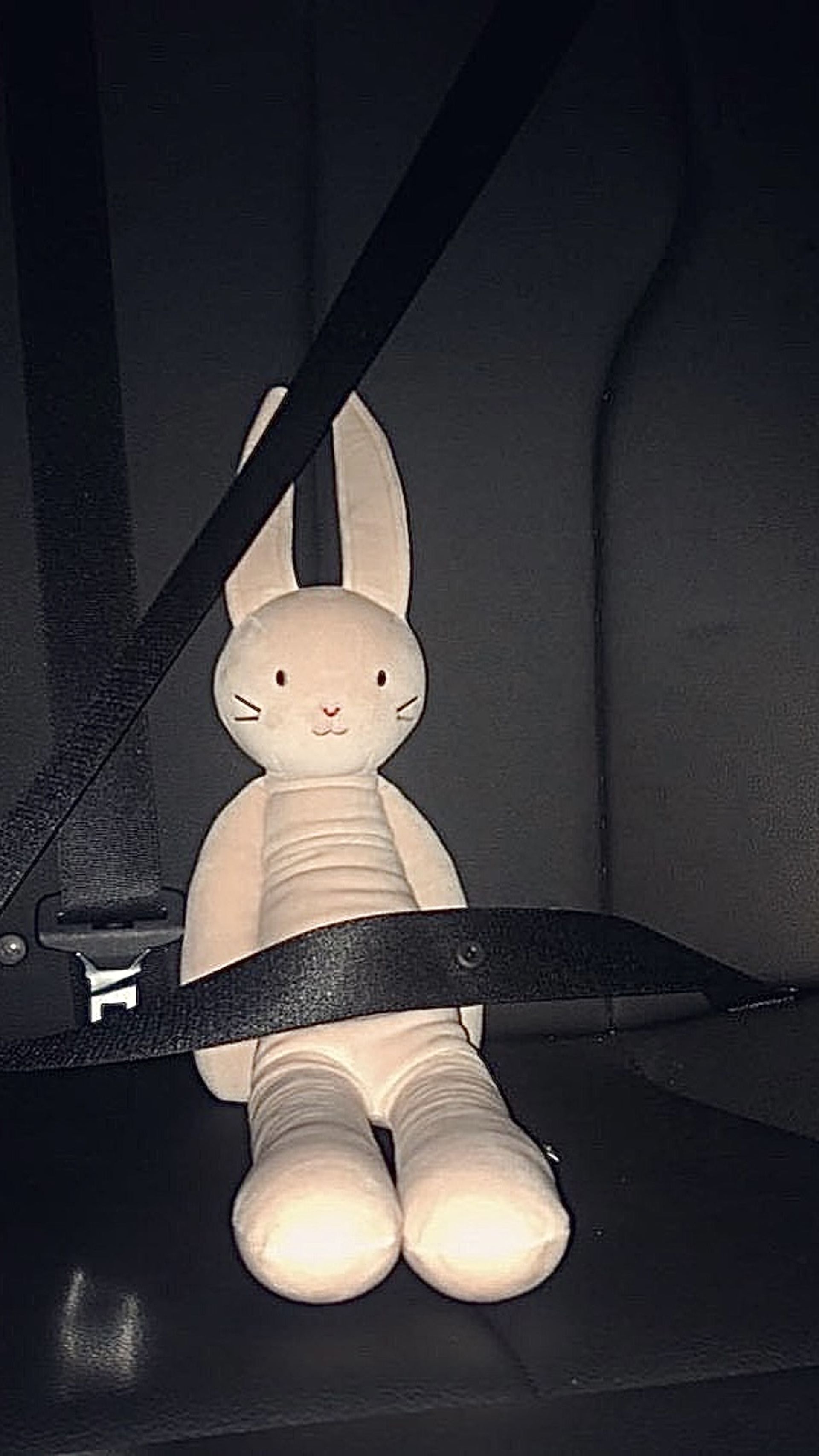 며닝콜