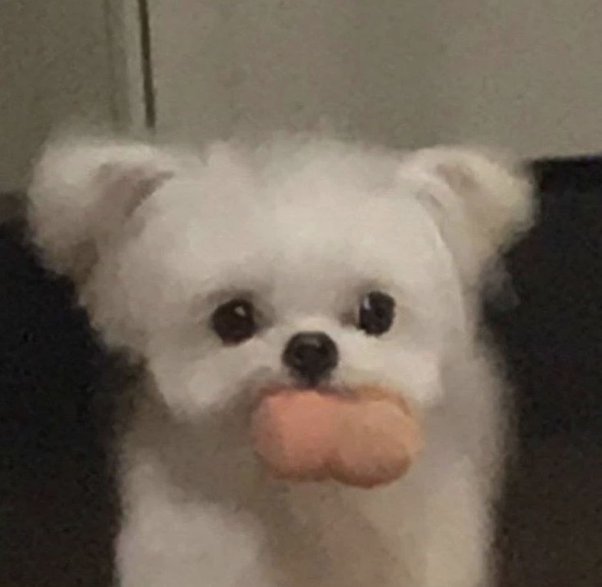 팝콘나쵸