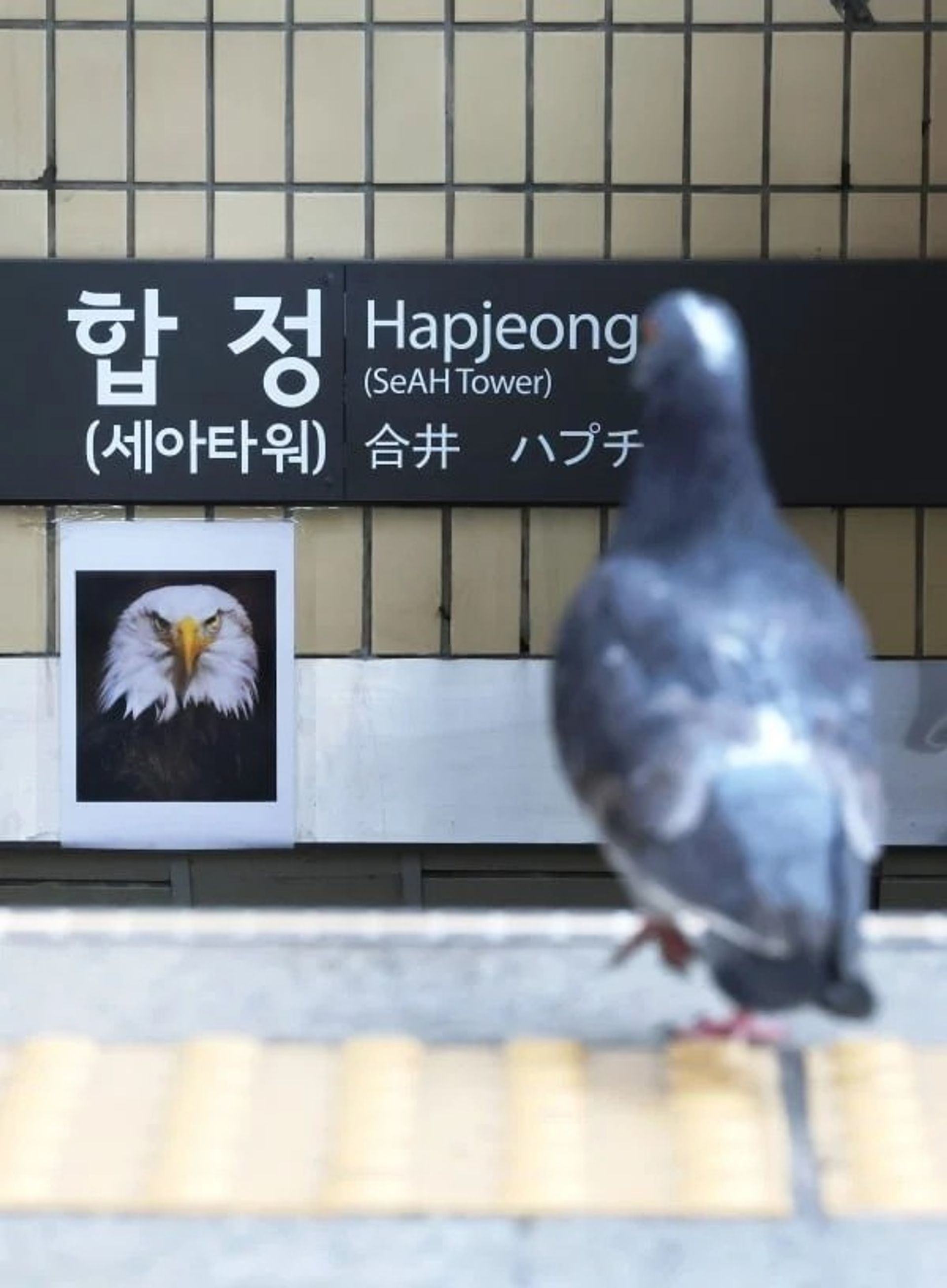김마포