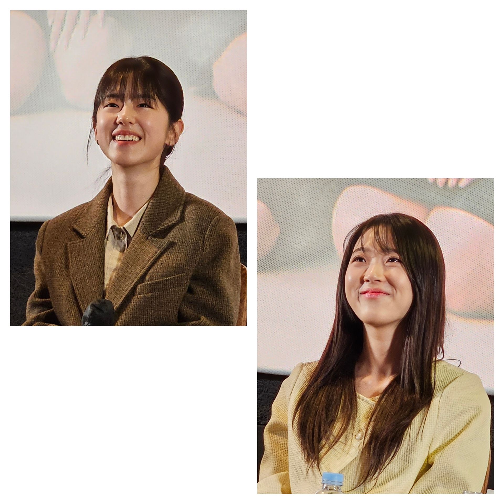 하이에나리