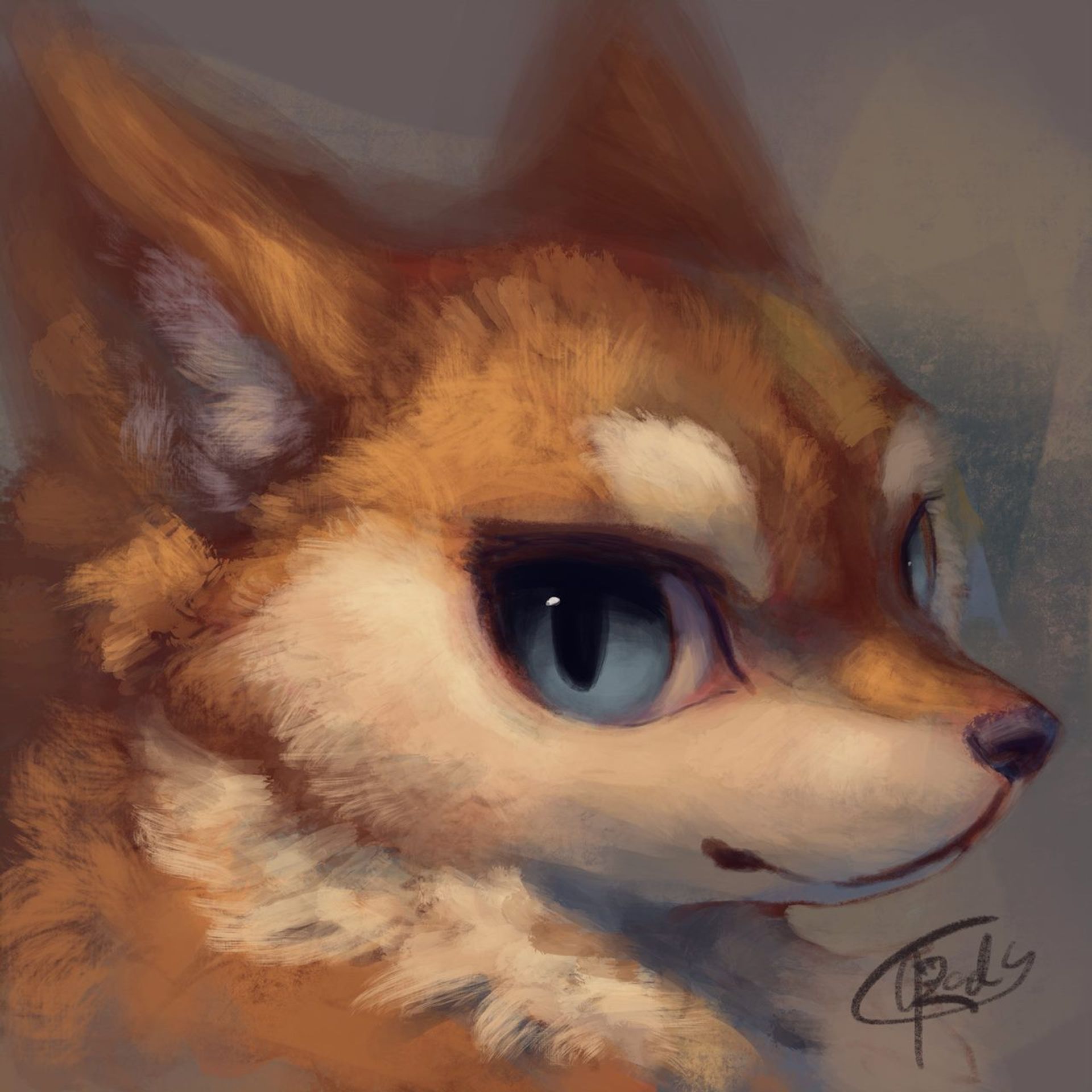 FluffyFox