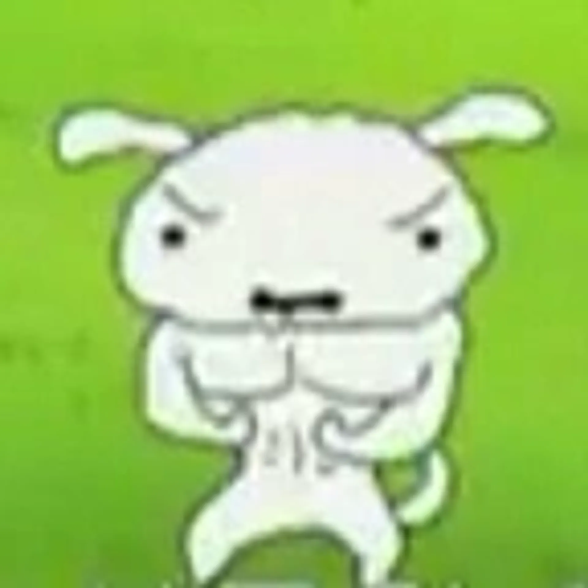 벌크업흰둥이