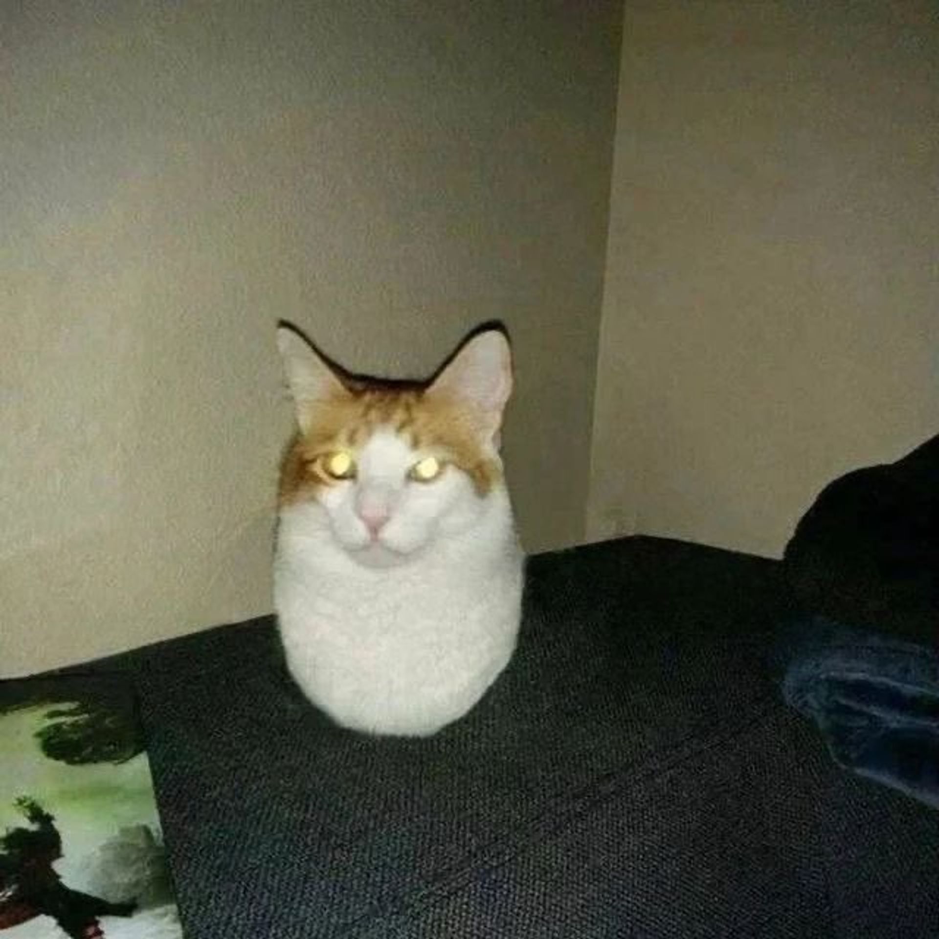 천하삼분카레