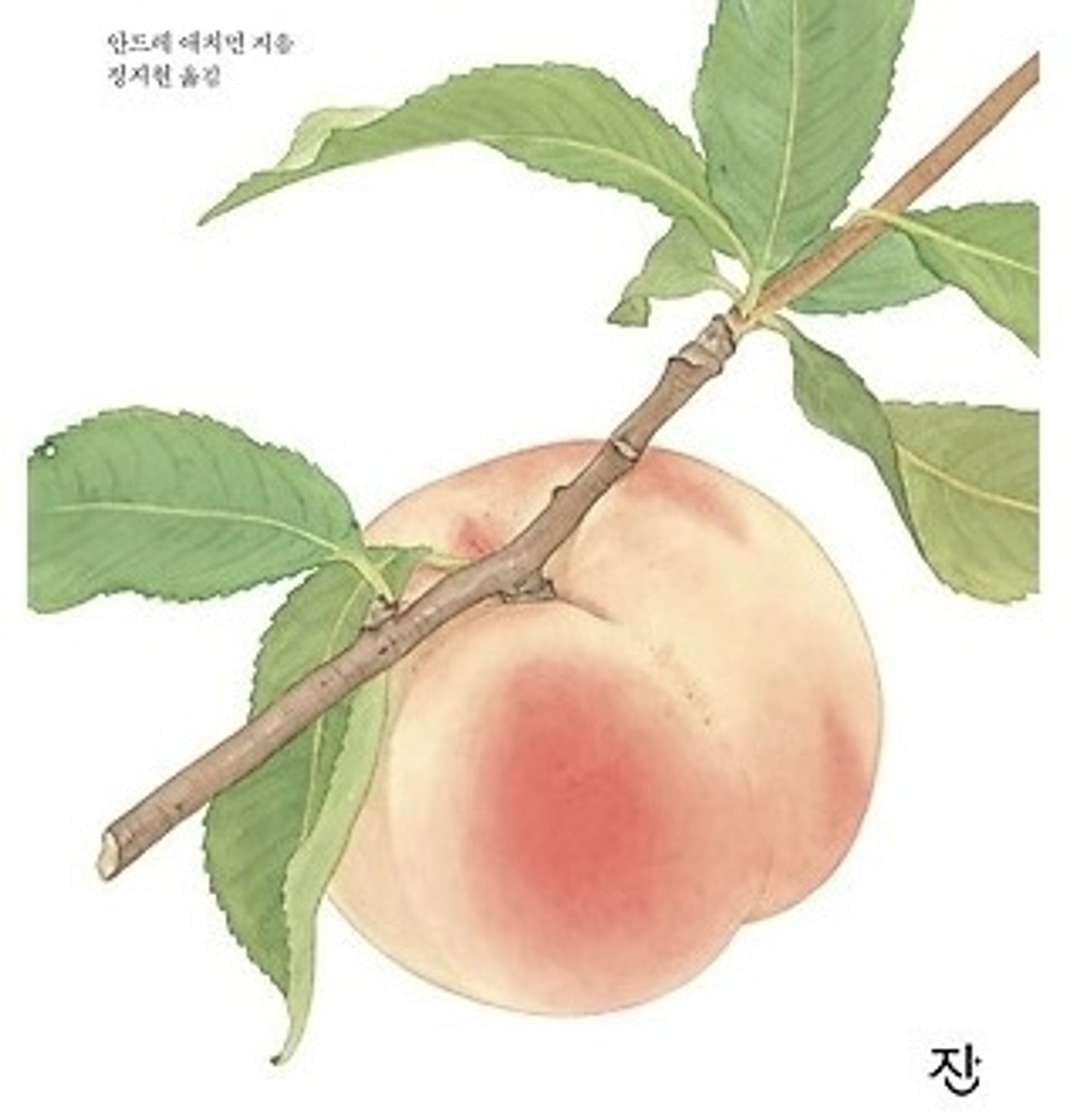 복셩