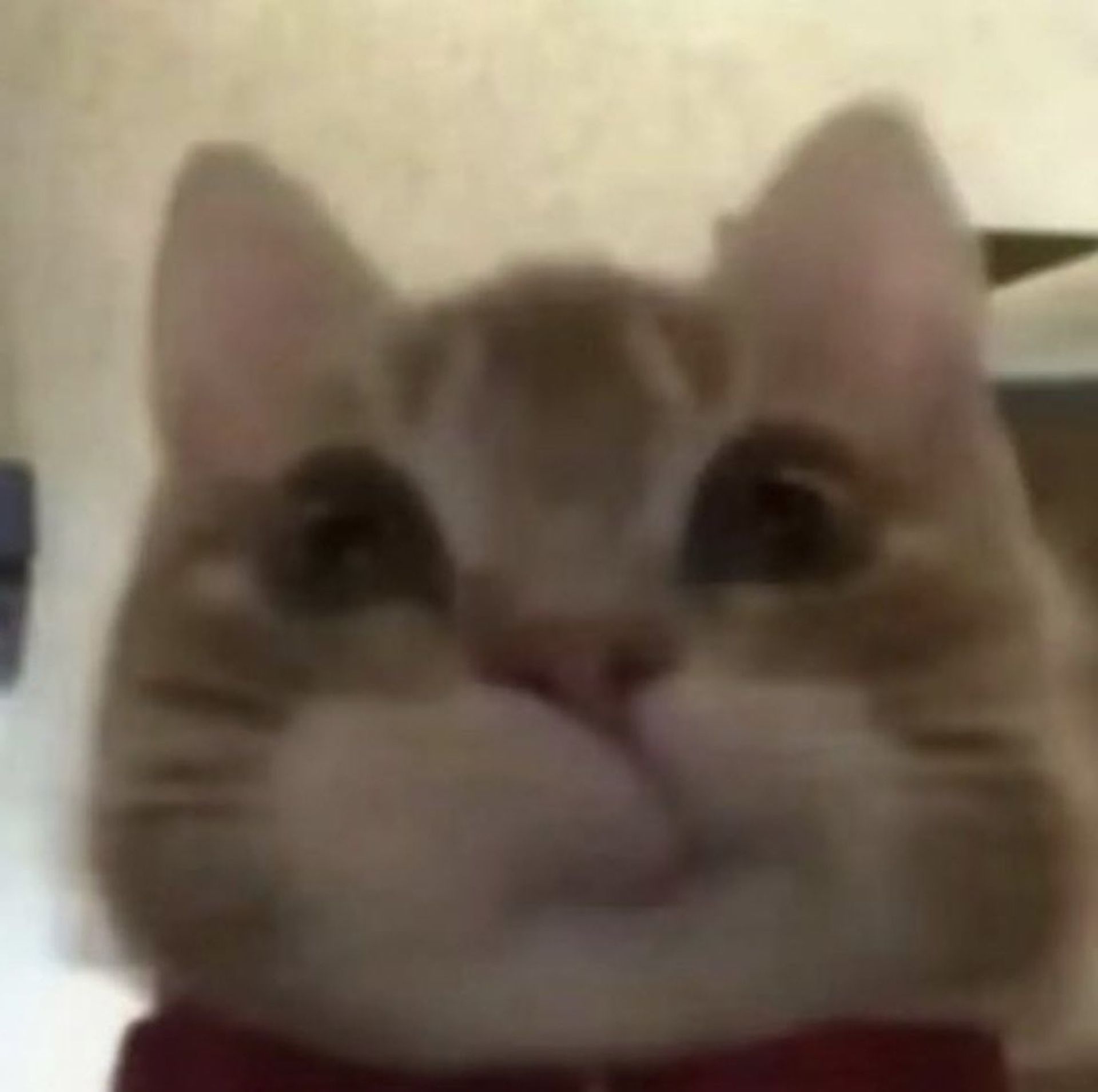 박에옹