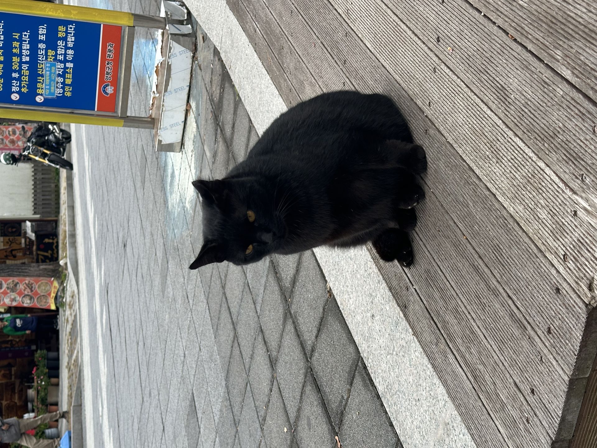 궁금한_레이놀즈_870864