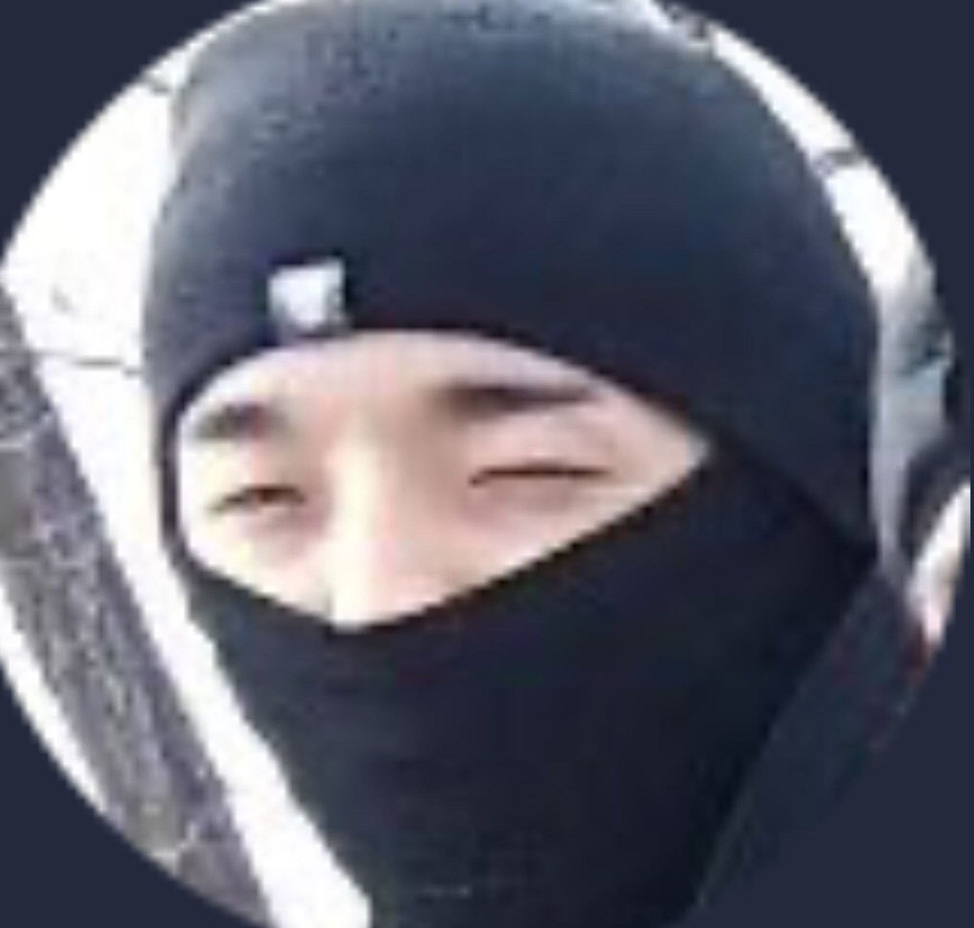 일드보는도은이