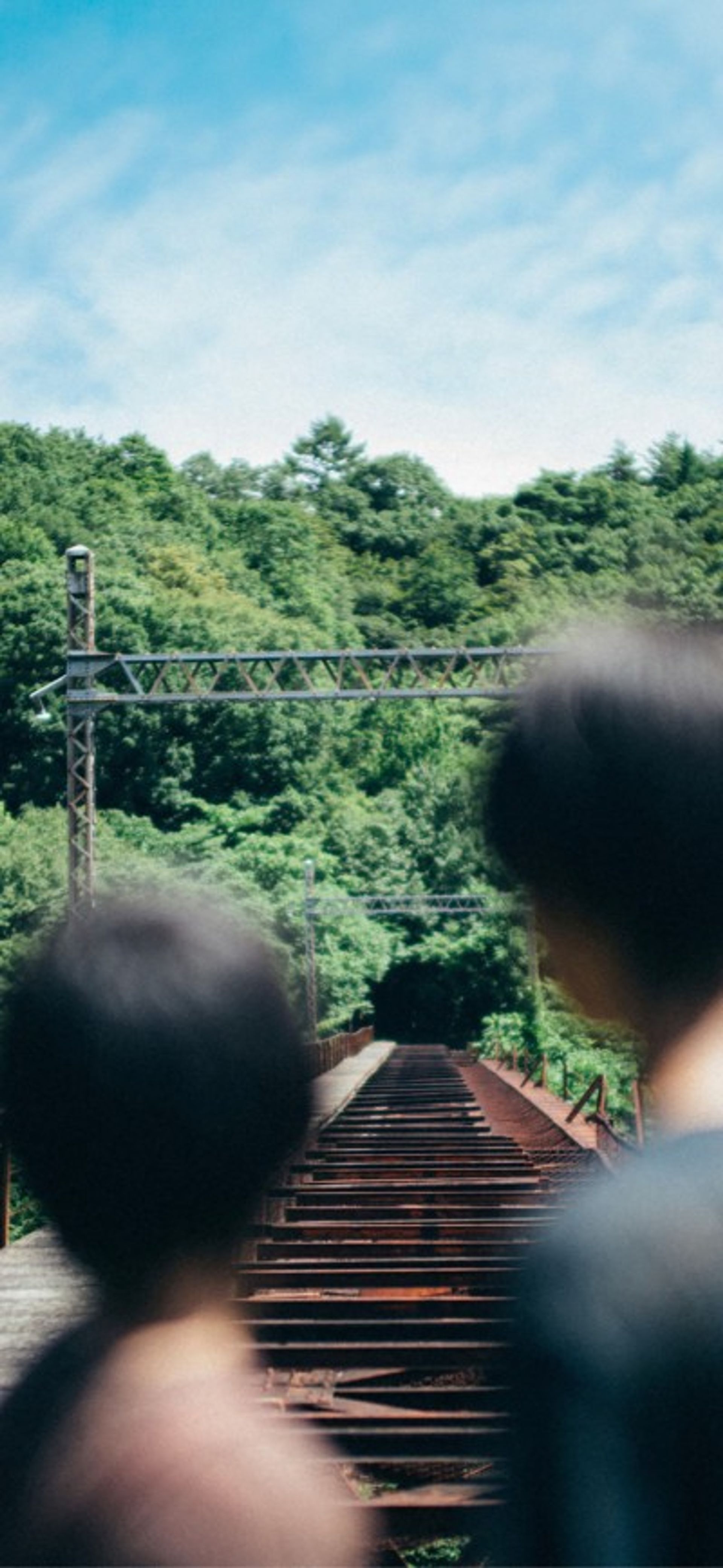 film__archive__