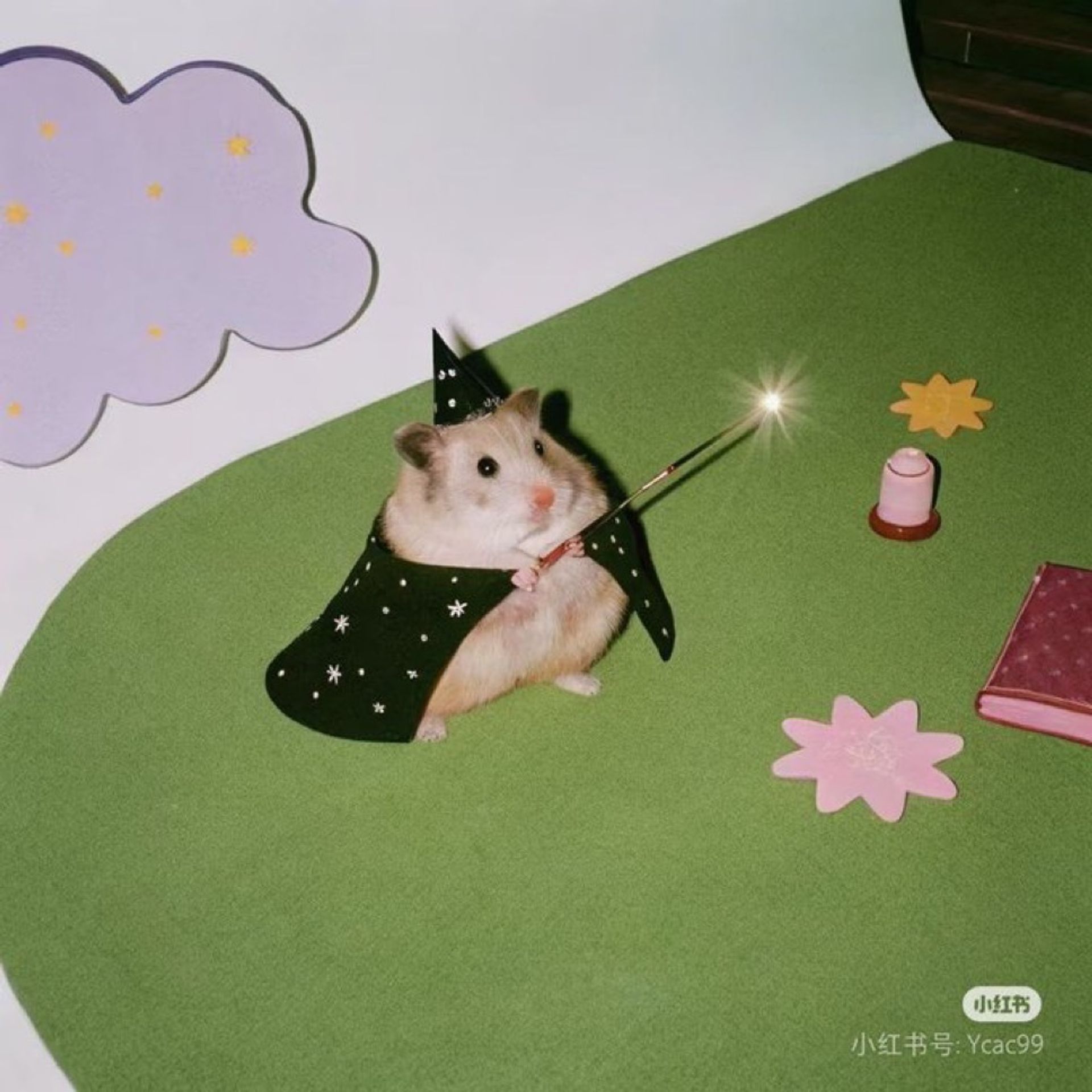 영화보는푸
