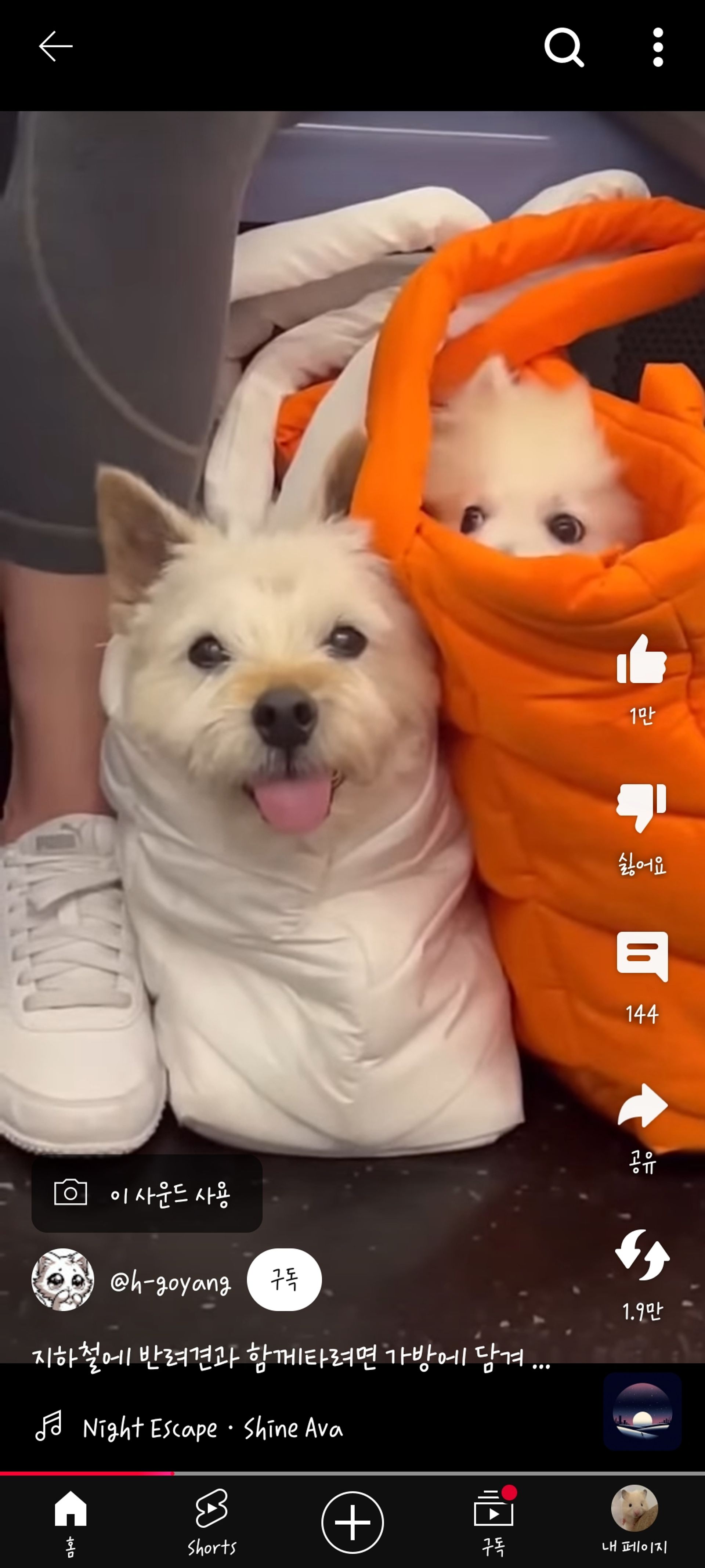 밍밍밍