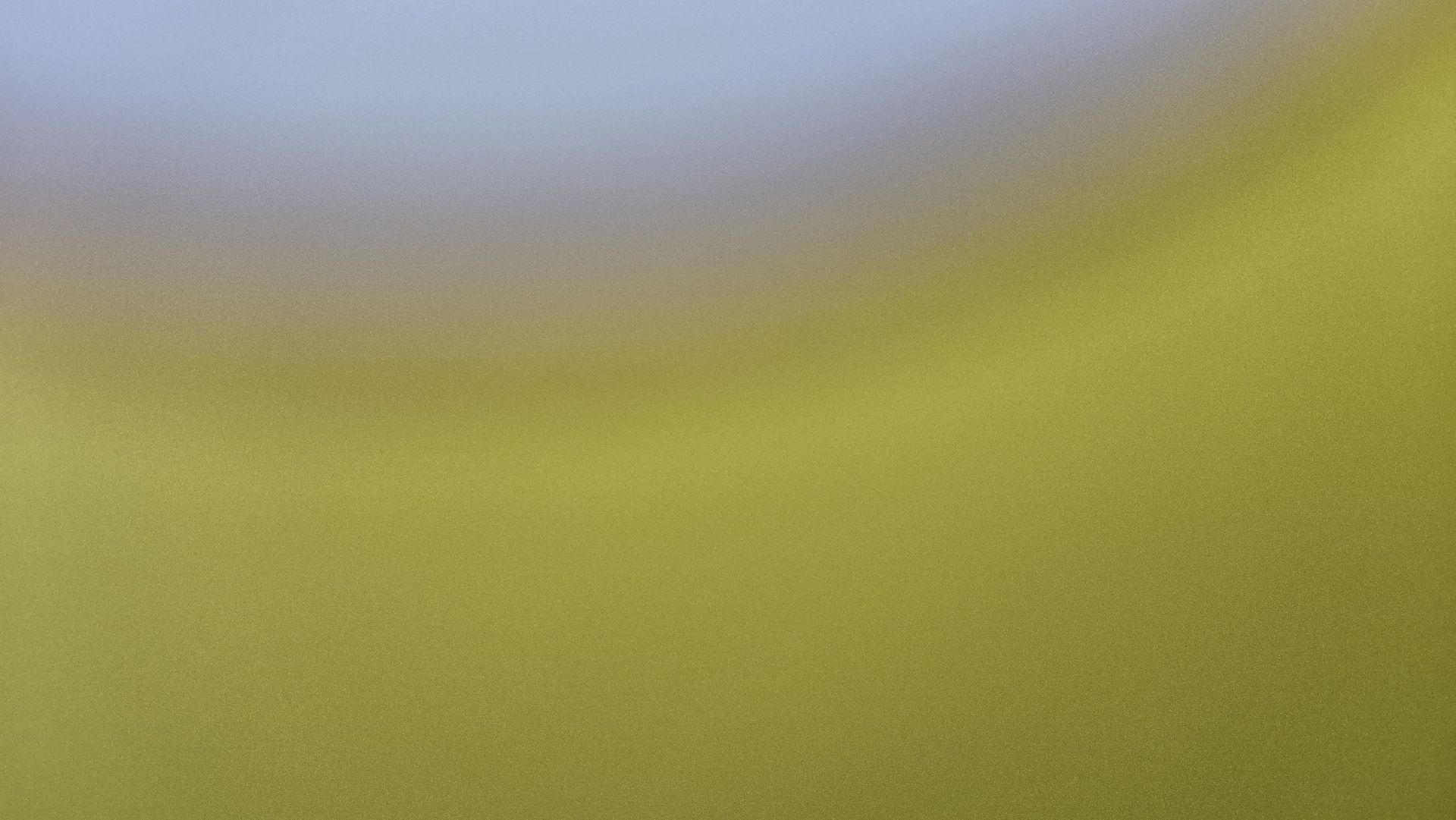 위대한몽시