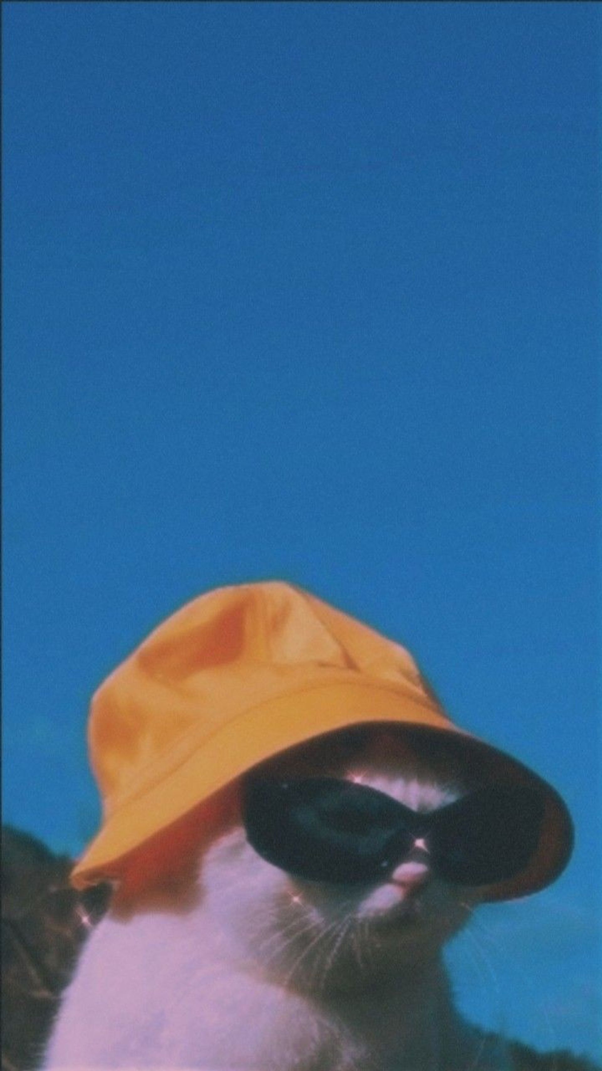 인생영화찾는사람