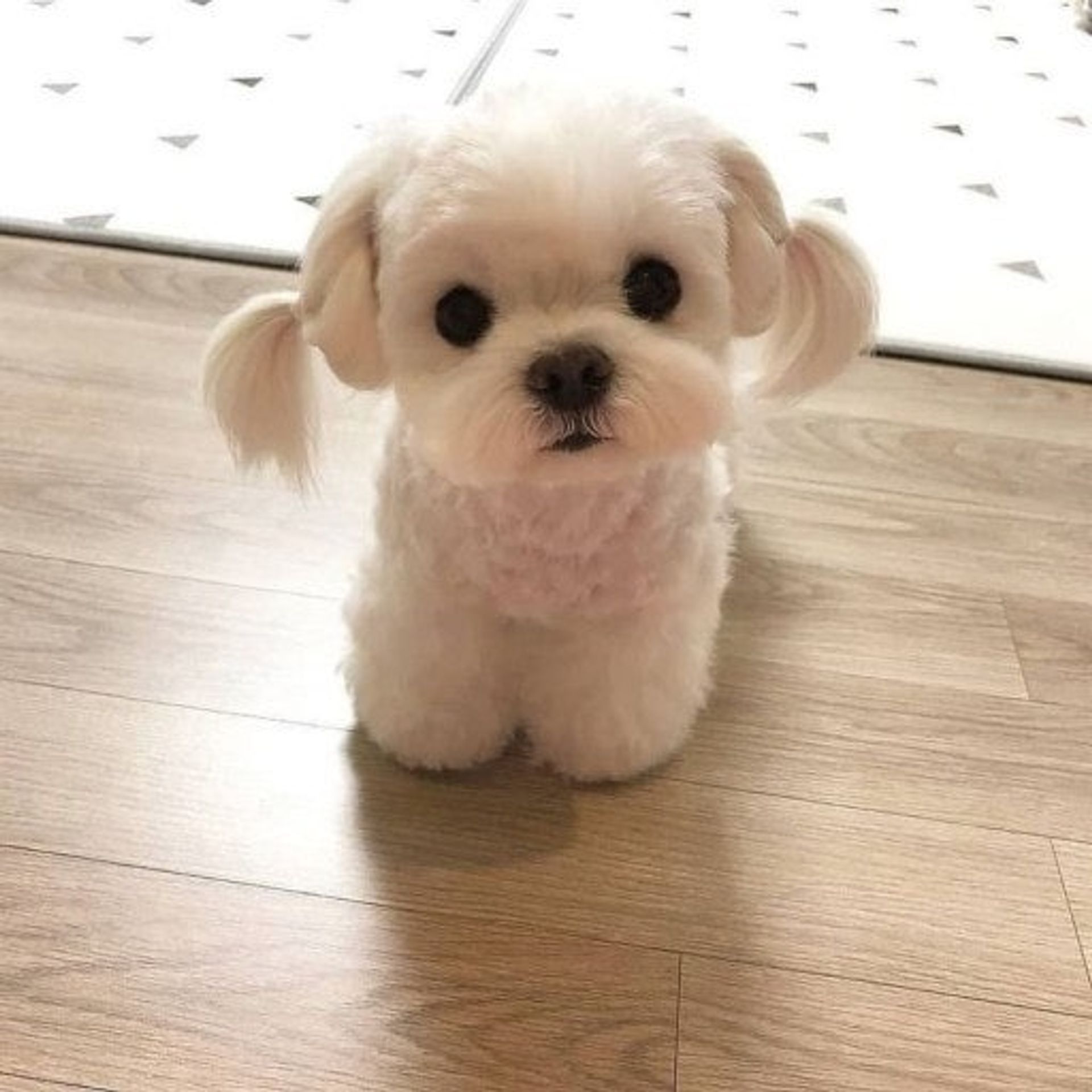 던전