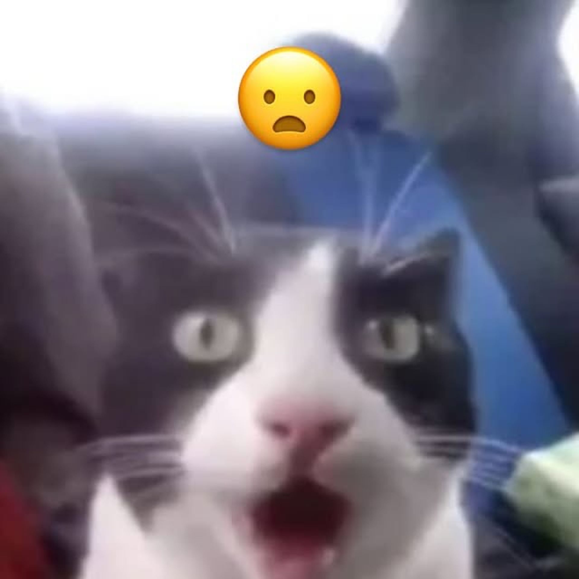 구