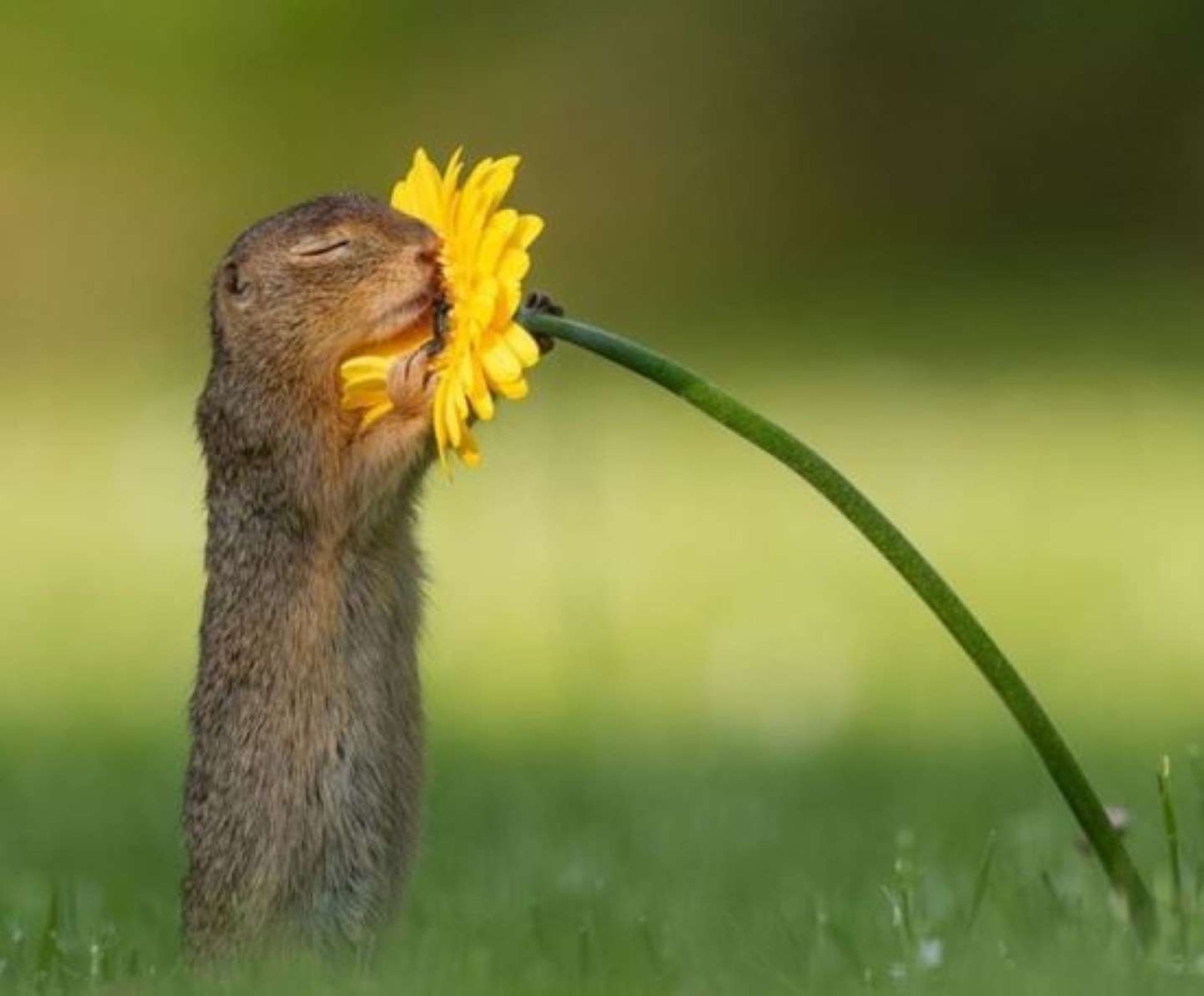 깜찍한_윤여정_332094