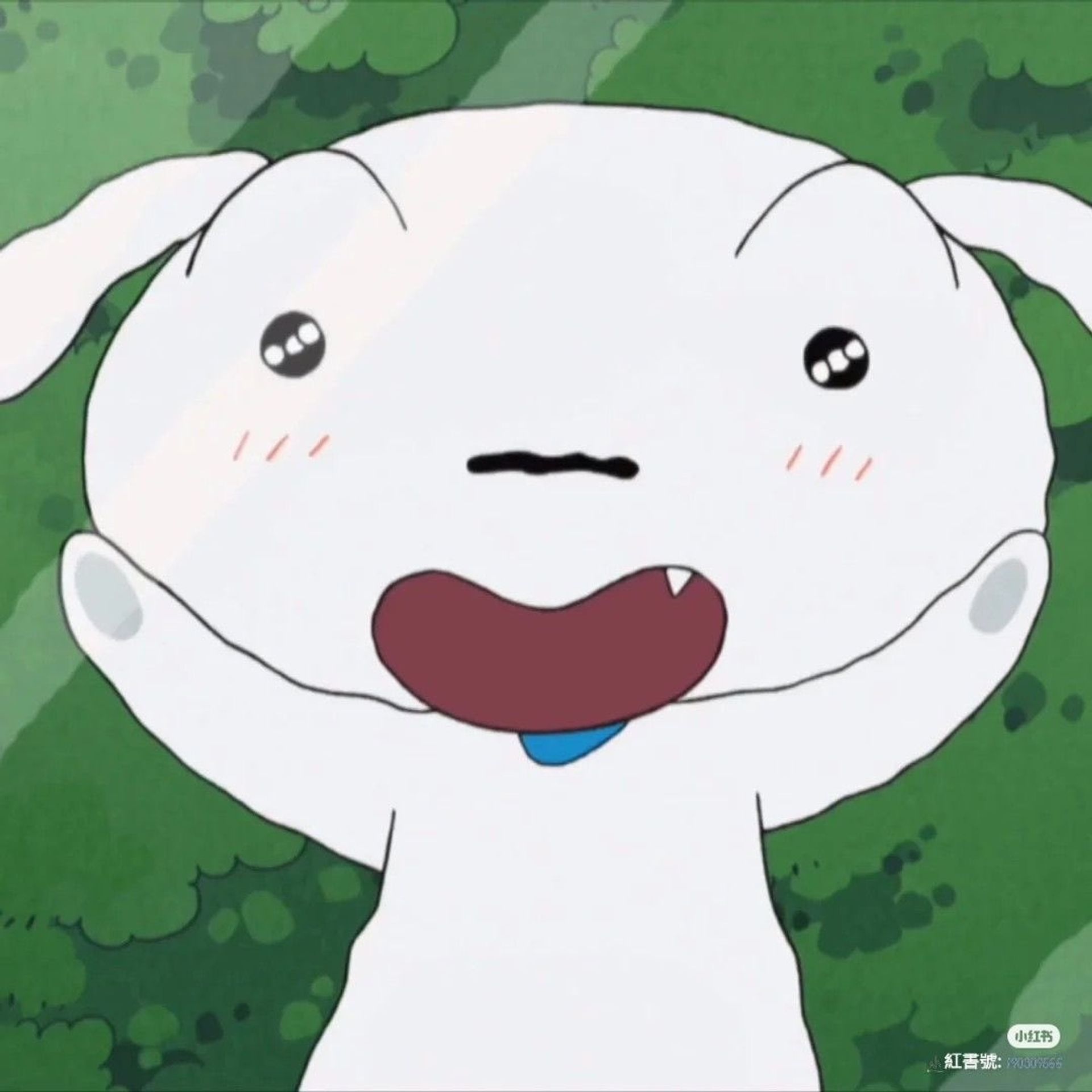 데구르르_도토리