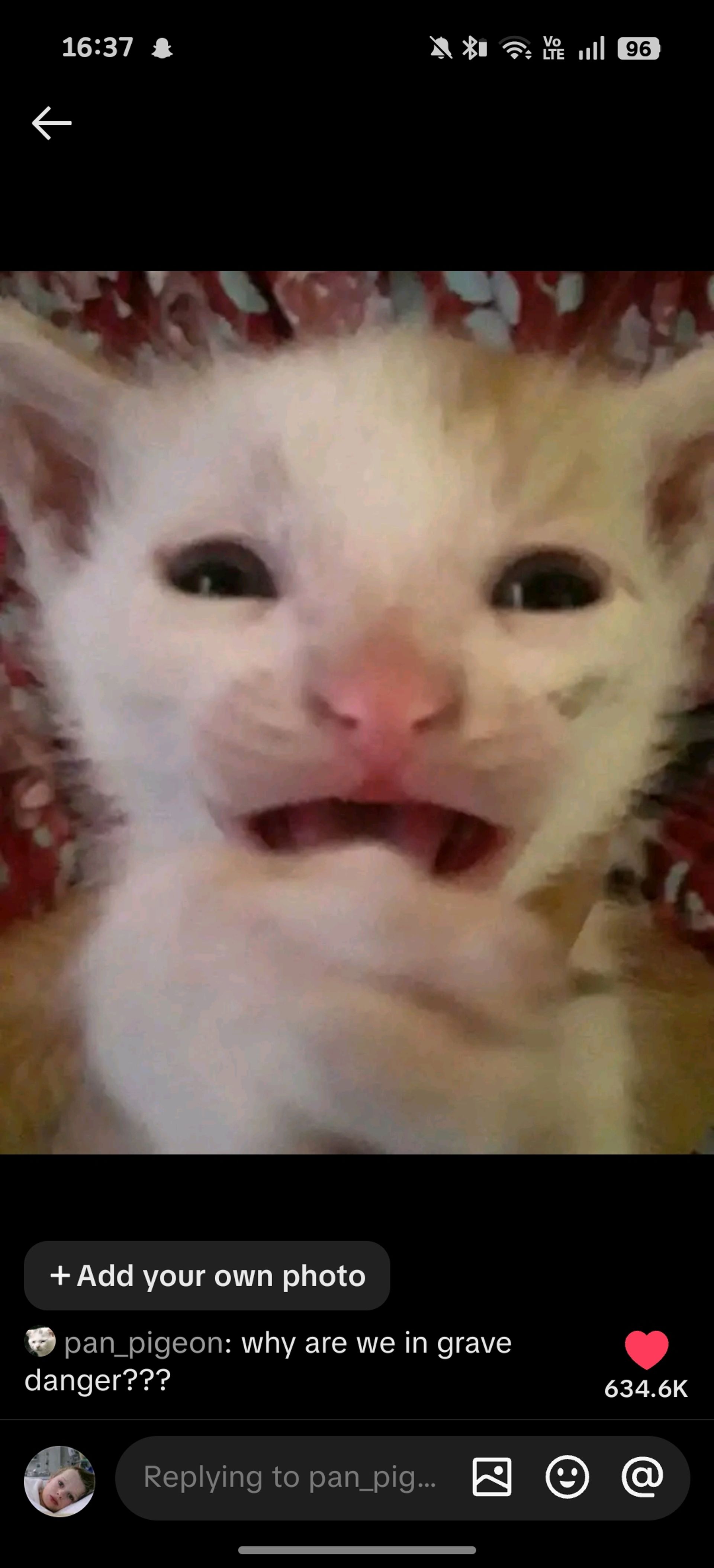 lacvna