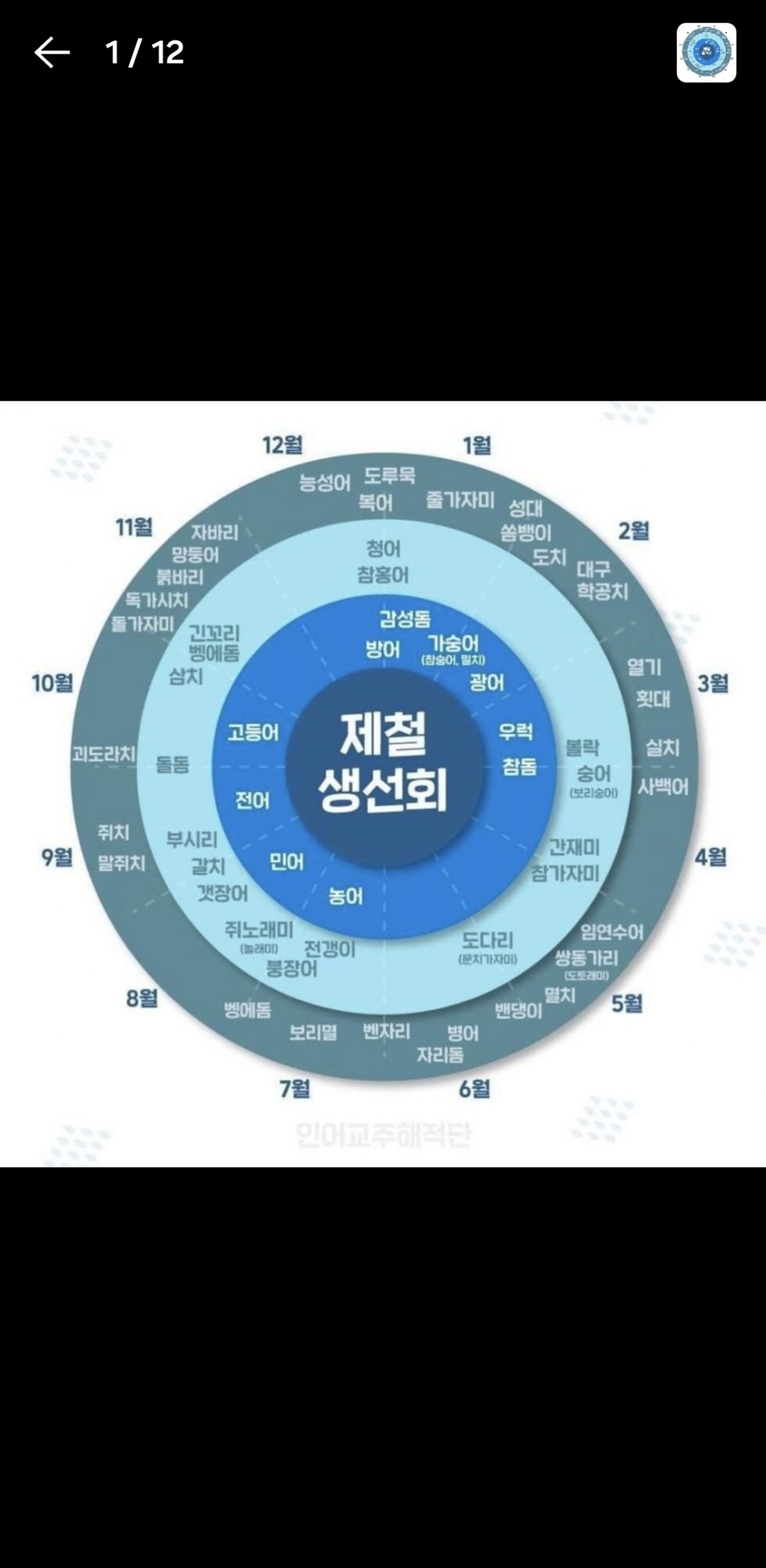 레오