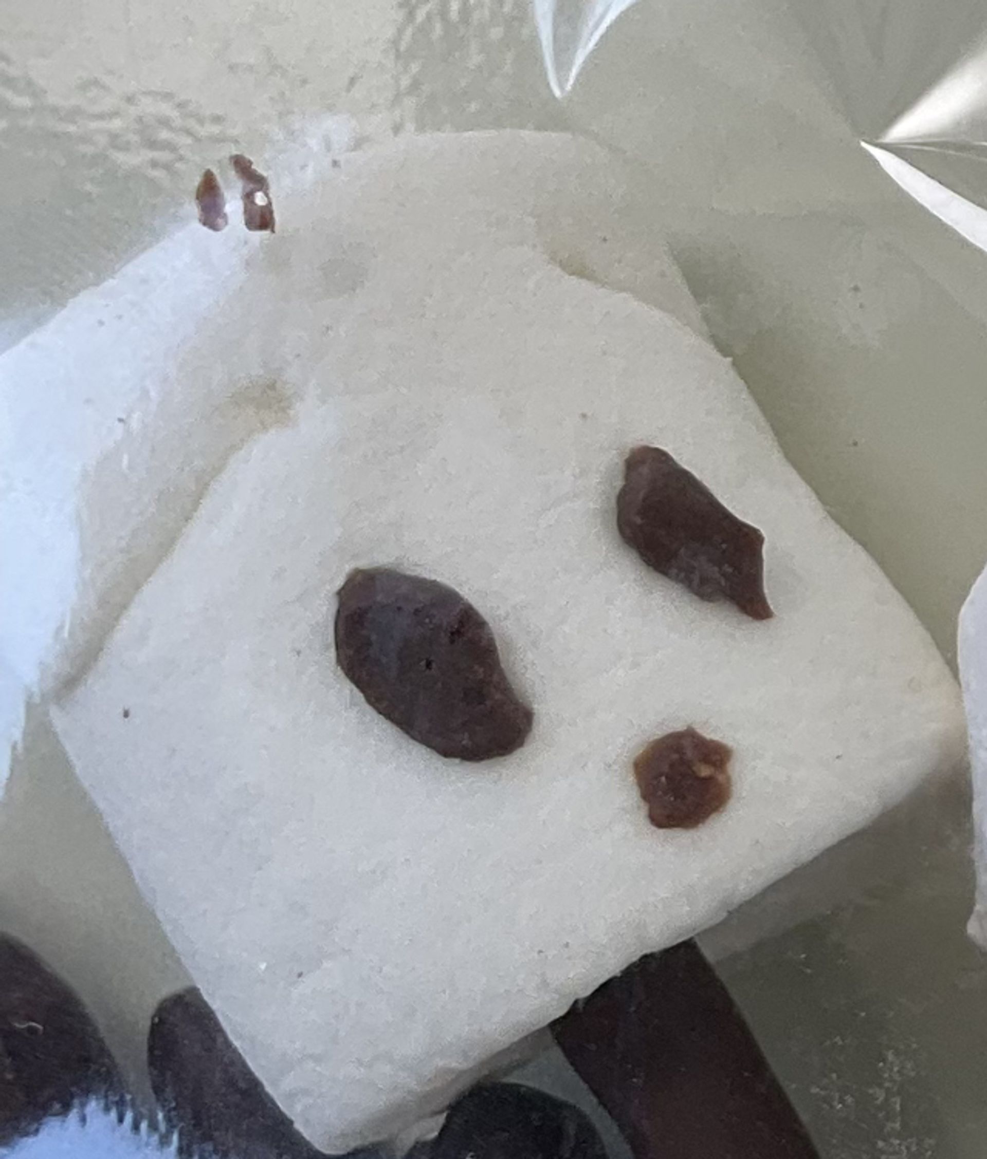 임시완료