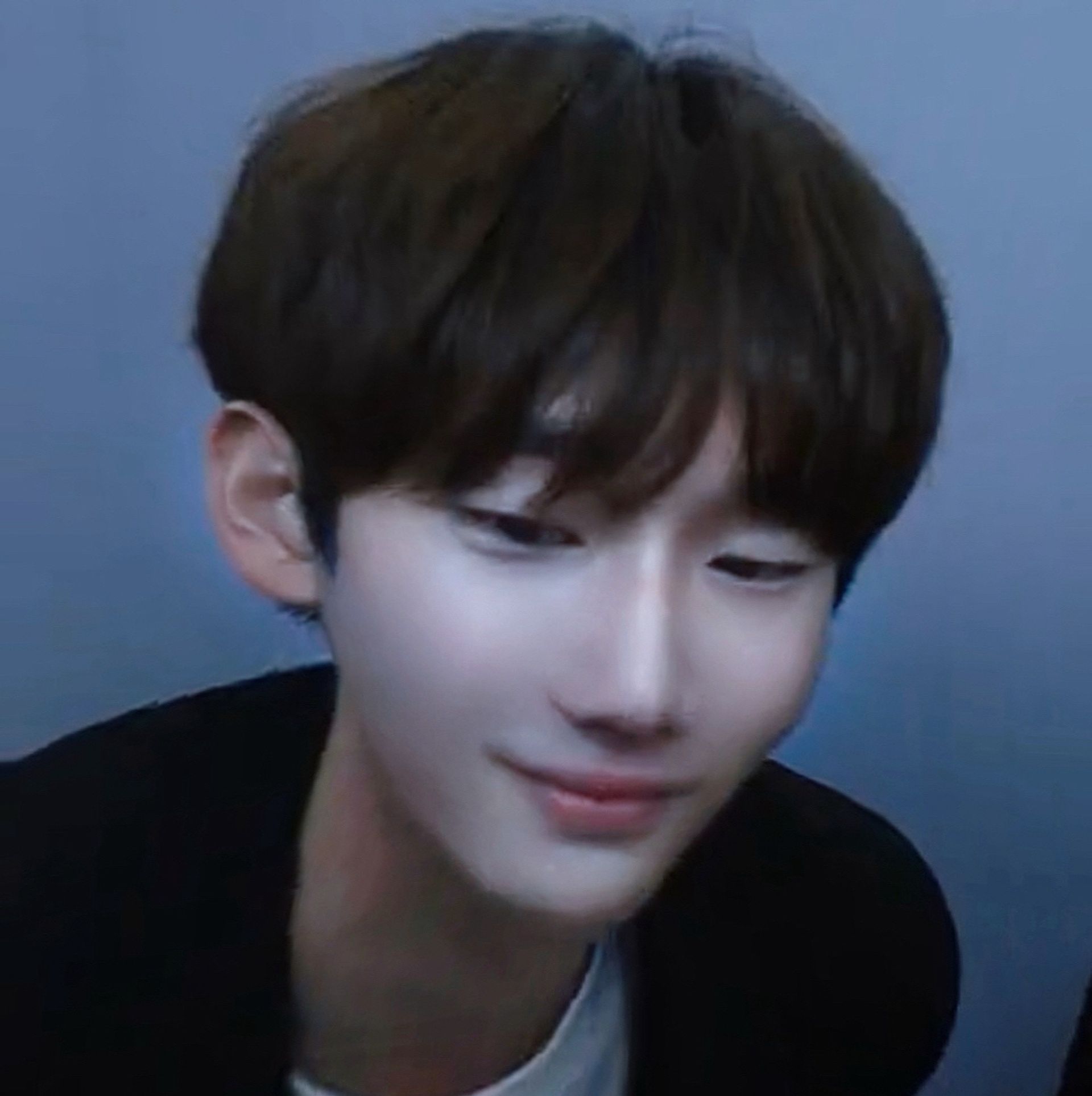 감성적인너구리