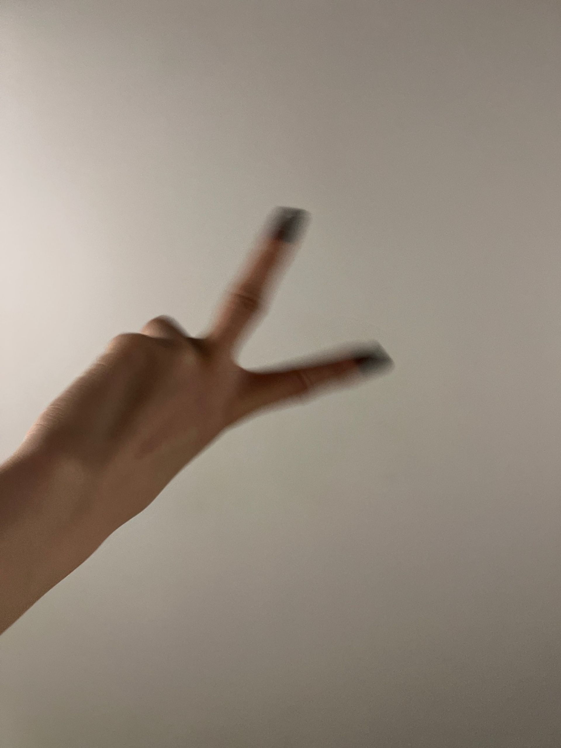 브이가두개면이브이