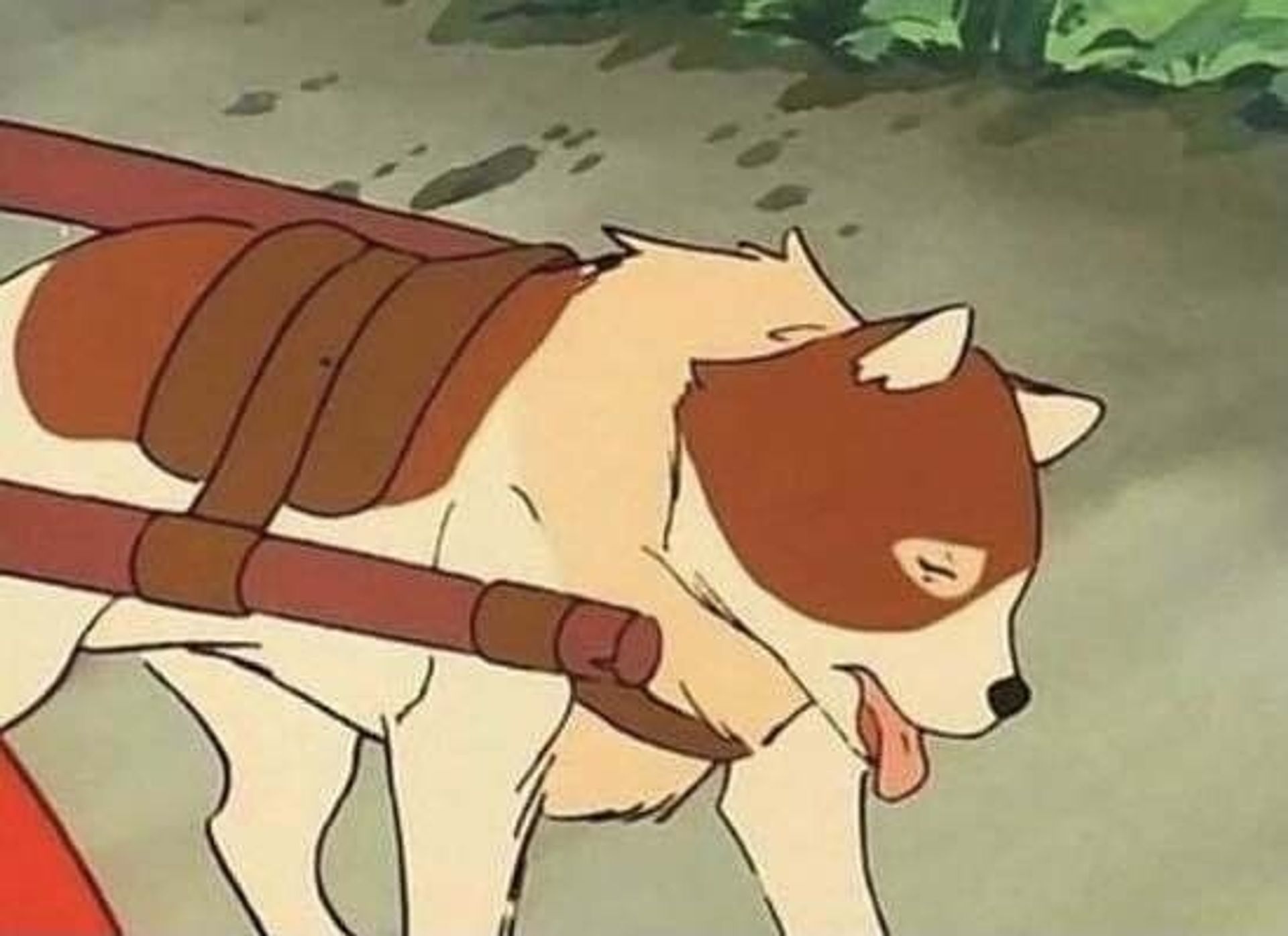 팟흐랏슈