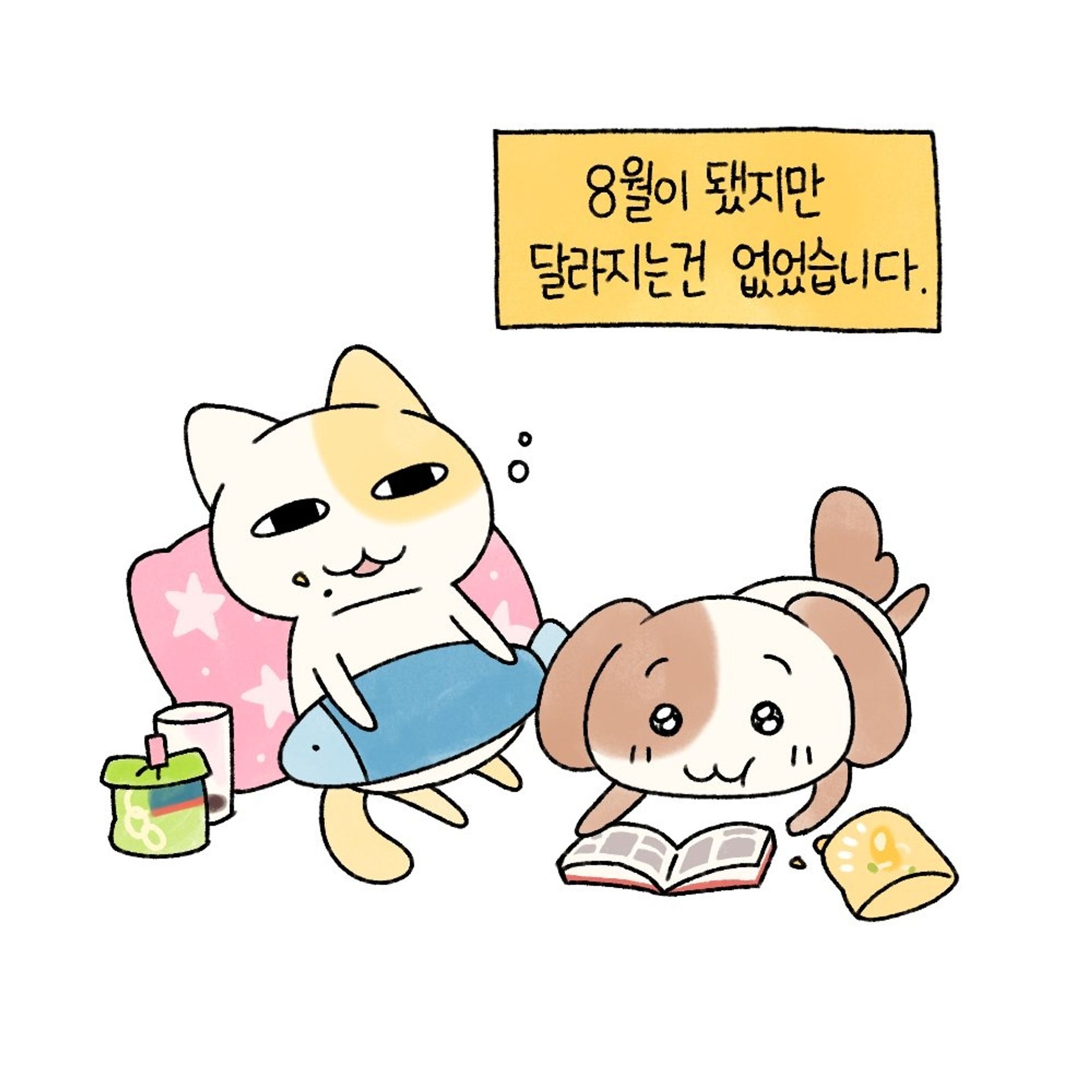 중드삼매경🔥