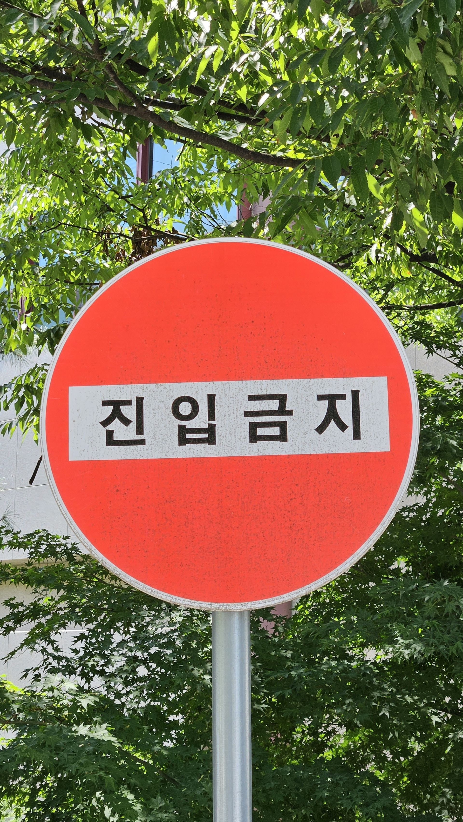 진입금지